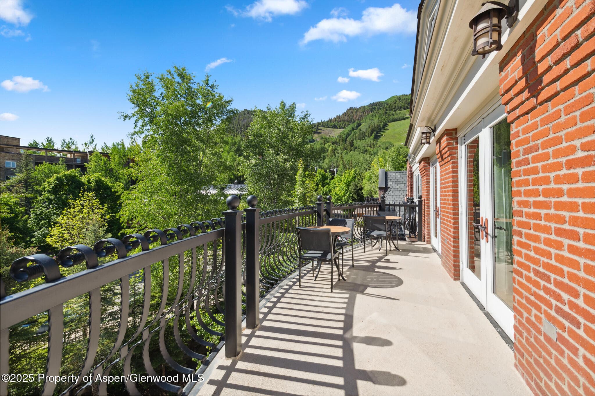 415 E Dean St, Unit 49 Week 33, Aspen, CO 81611 - Photo 2