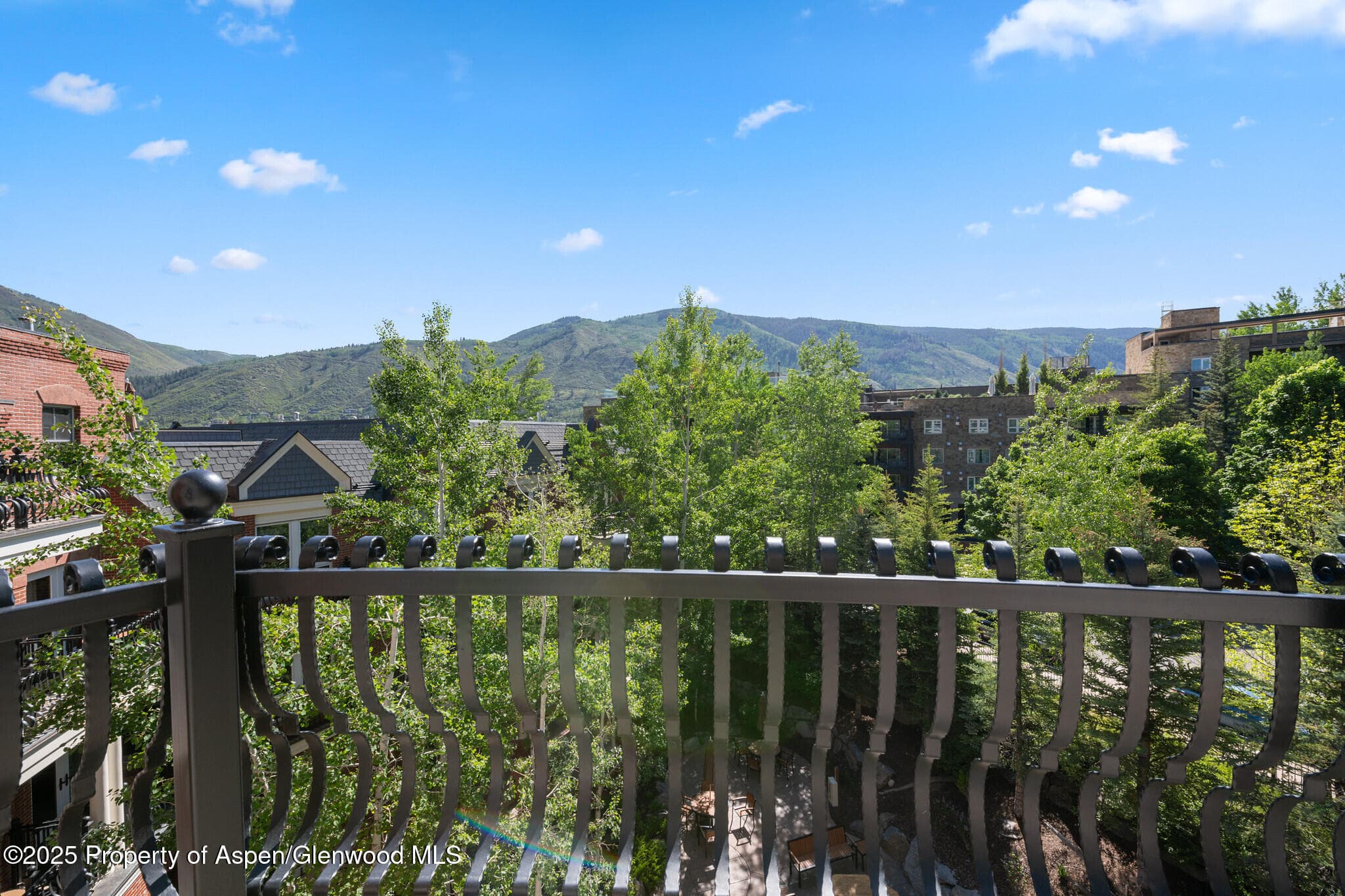 415 E Dean St, Unit 49 Week 33, Aspen, CO 81611 - Photo 10