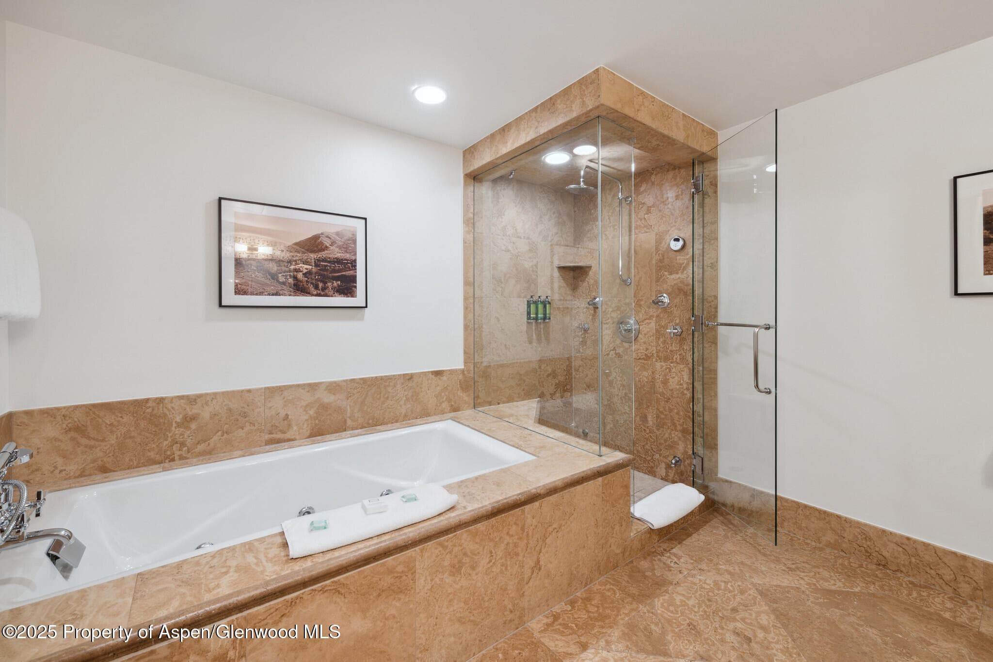 415 E Dean St, Unit 49 Week 33, Aspen, CO 81611 - Photo 17