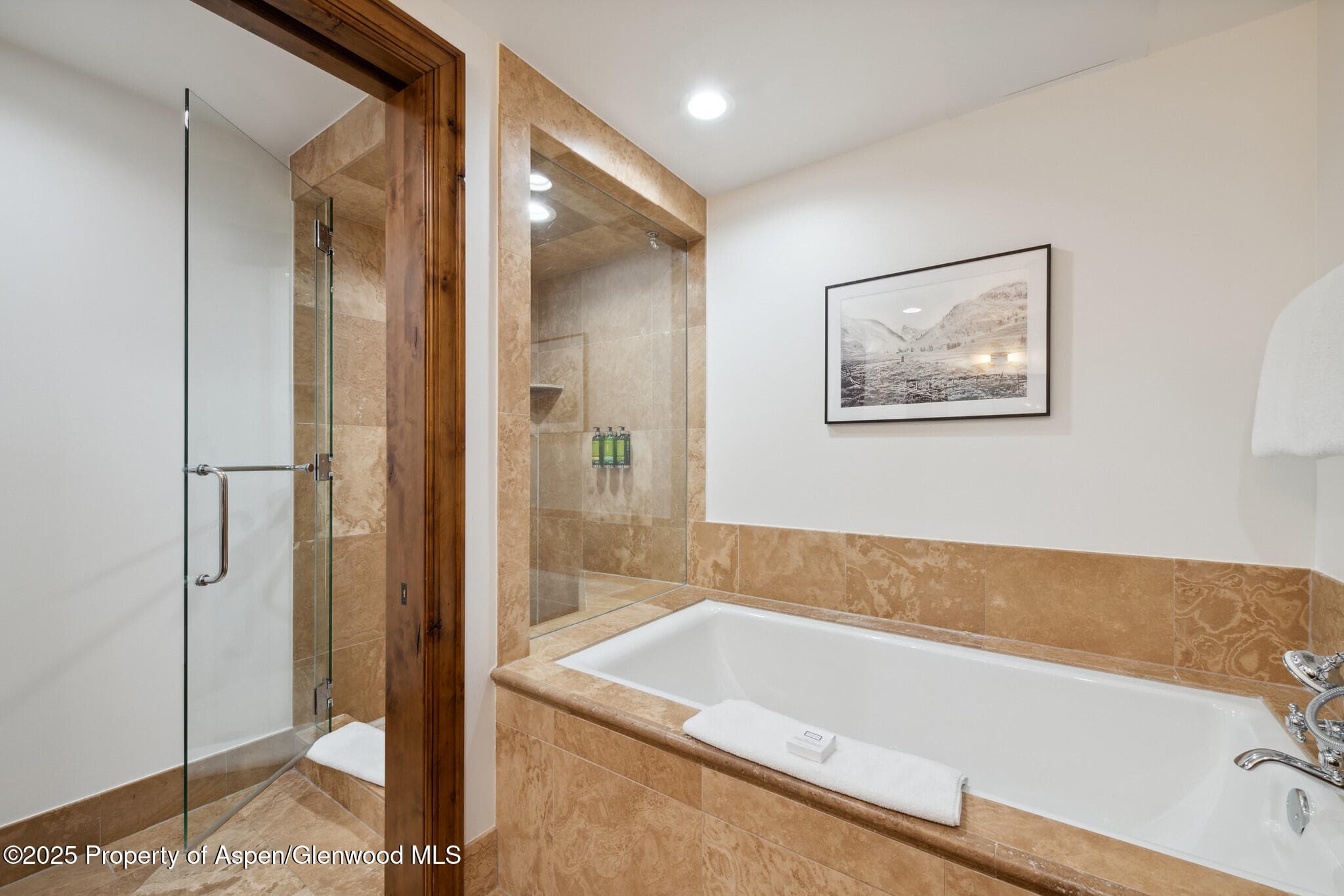 415 E Dean St, Unit 49 Week 33, Aspen, CO 81611 - Photo 22