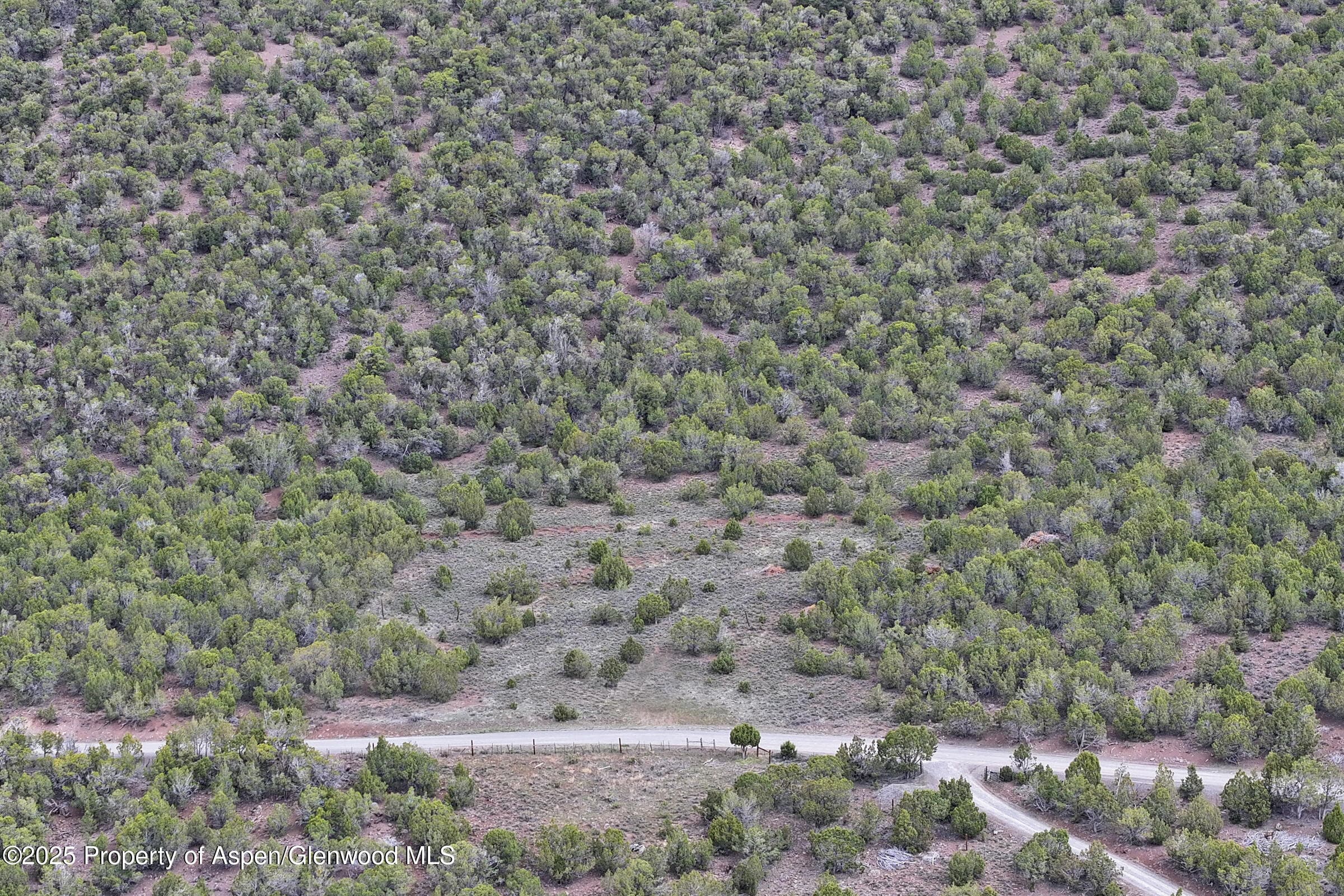 TBD KK Road, Molina, CO 81646 - Photo 4