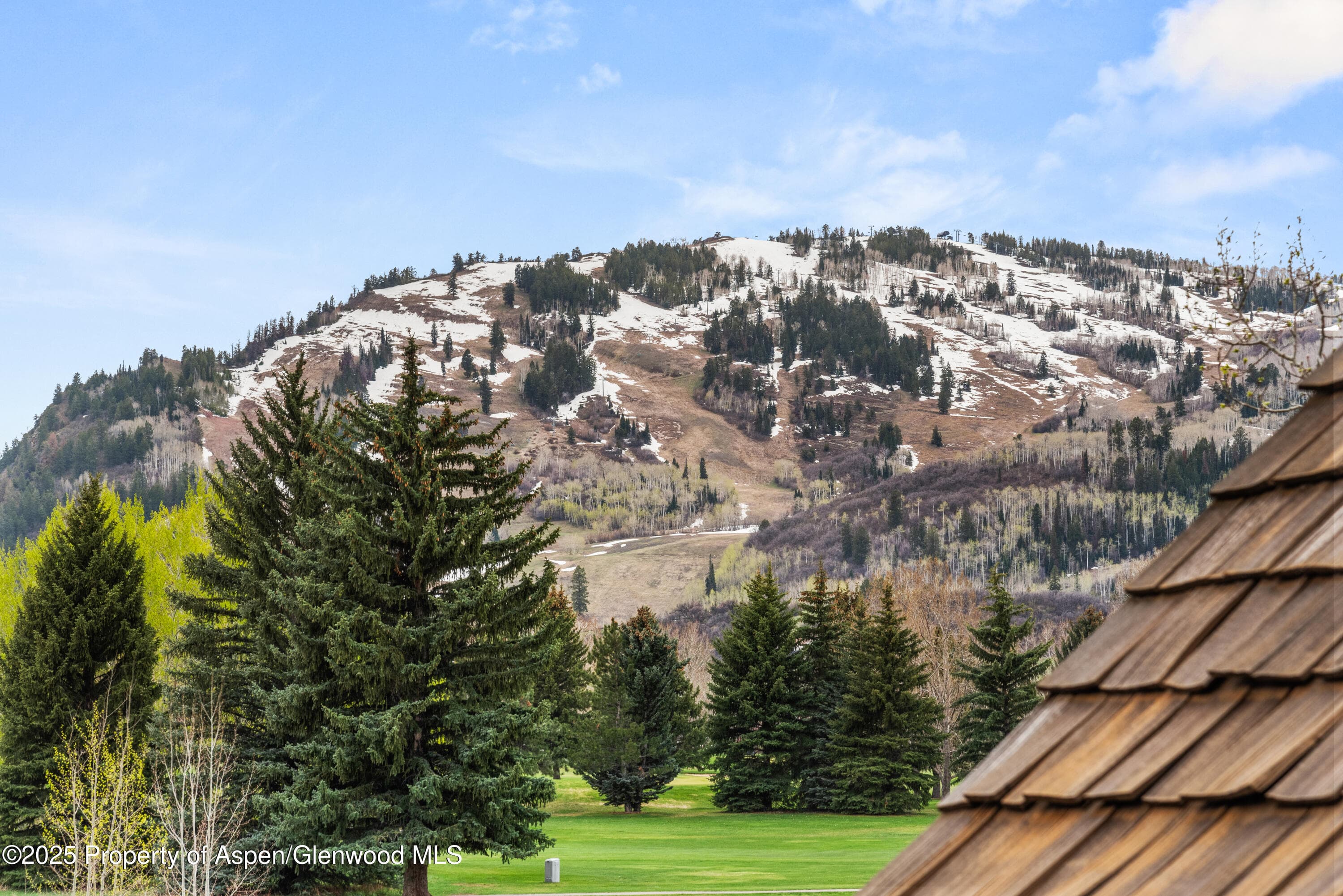1495 Homestake Drive 2, Aspen, CO 81611 - Photo 42