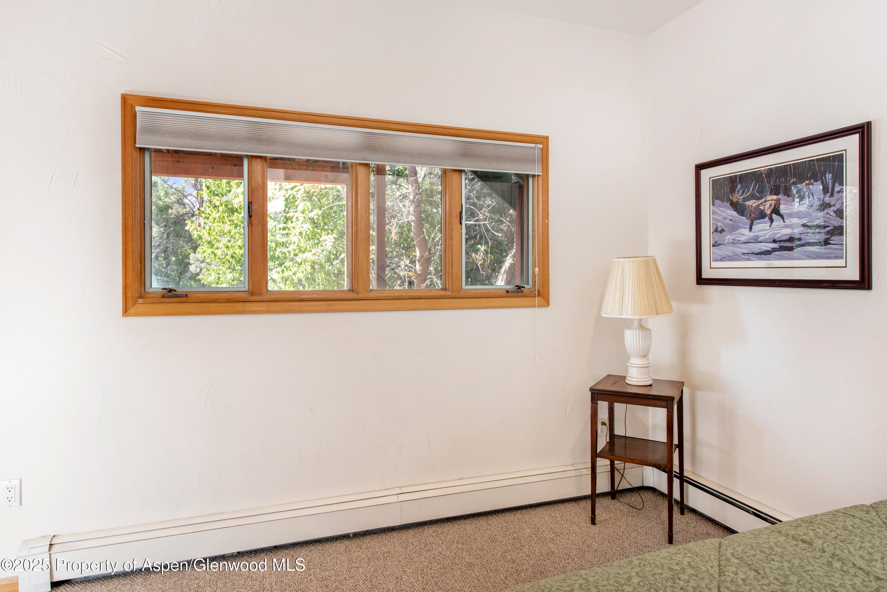 172 Sunny Acres Road, Glenwood Springs, CO 81601 - Photo 29
