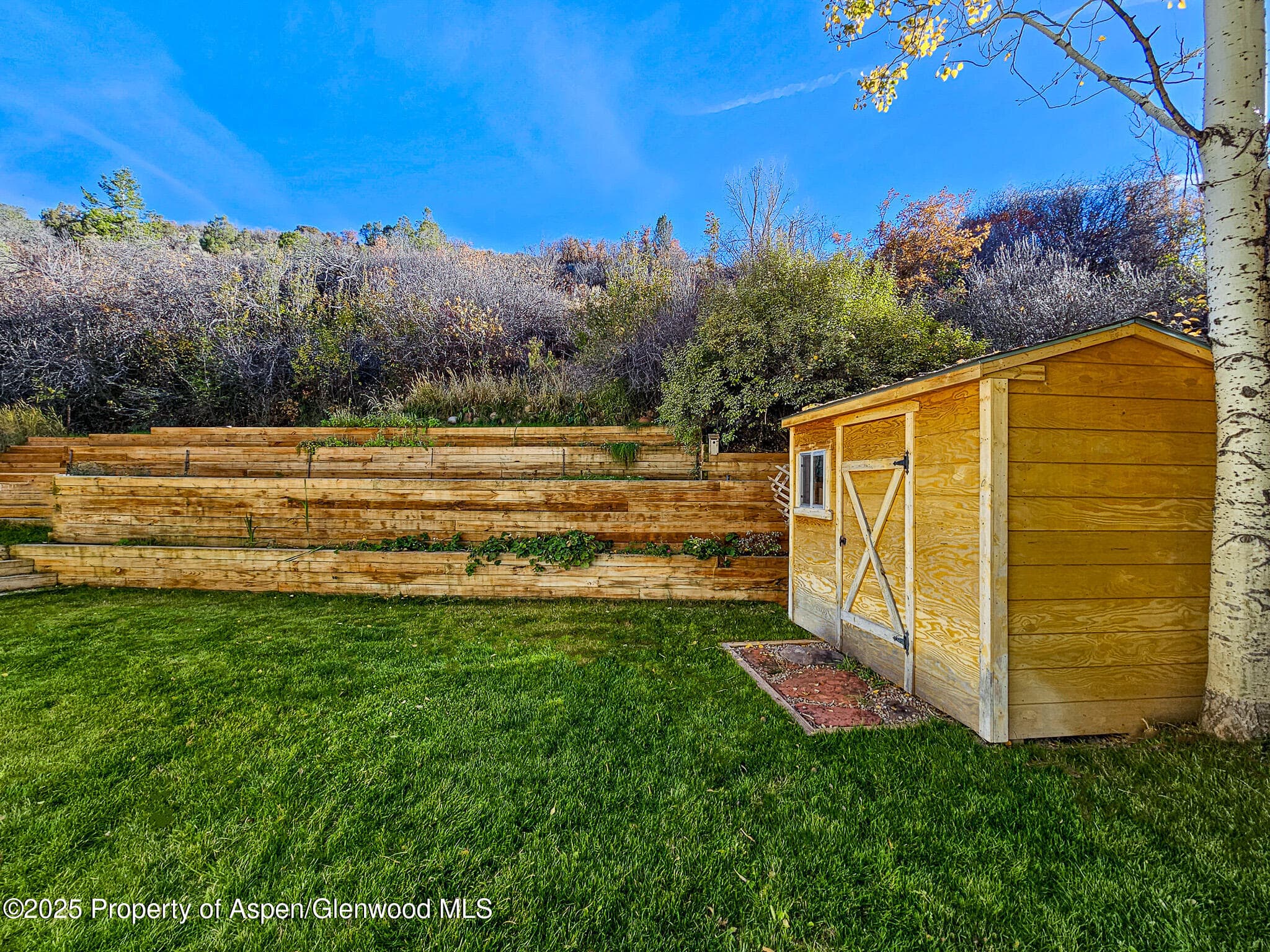 137 Ridge Trail, Aspen, CO 81611 - Photo 23