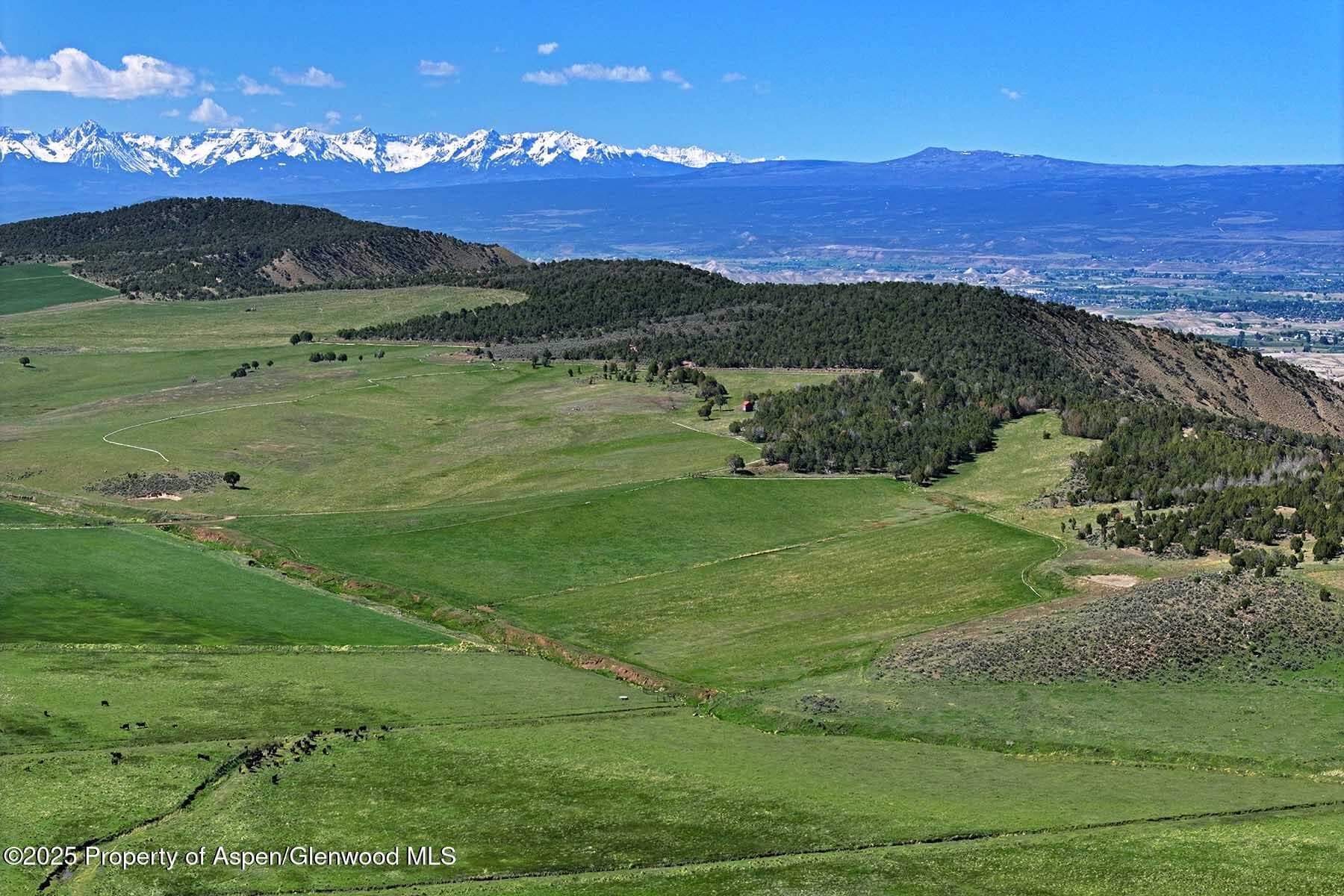 10676 Bostwick Road, Montrose, CO 81401 - Photo 22