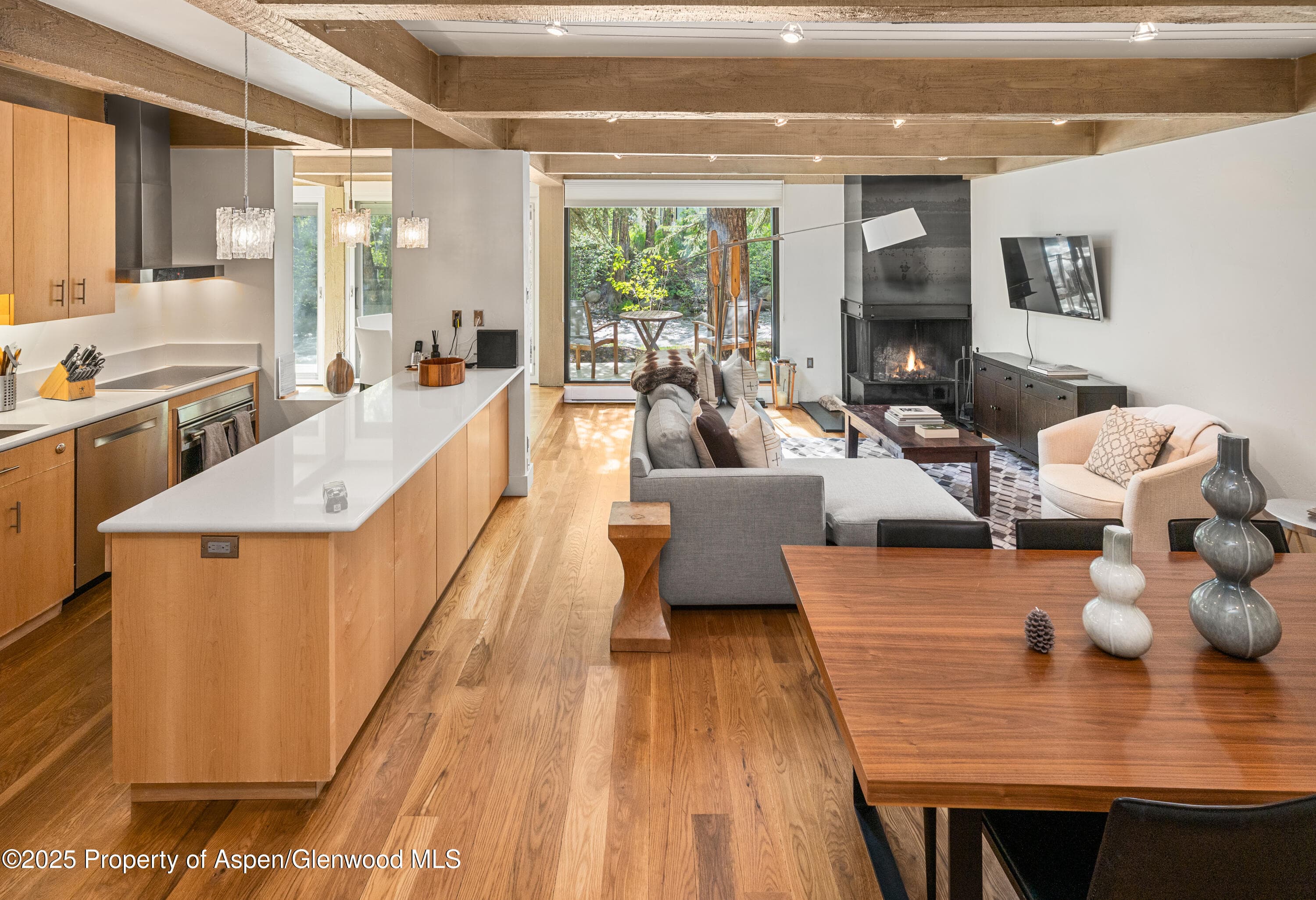 1034 E Cooper Avenue 24, Aspen, CO 81611 - Photo 5