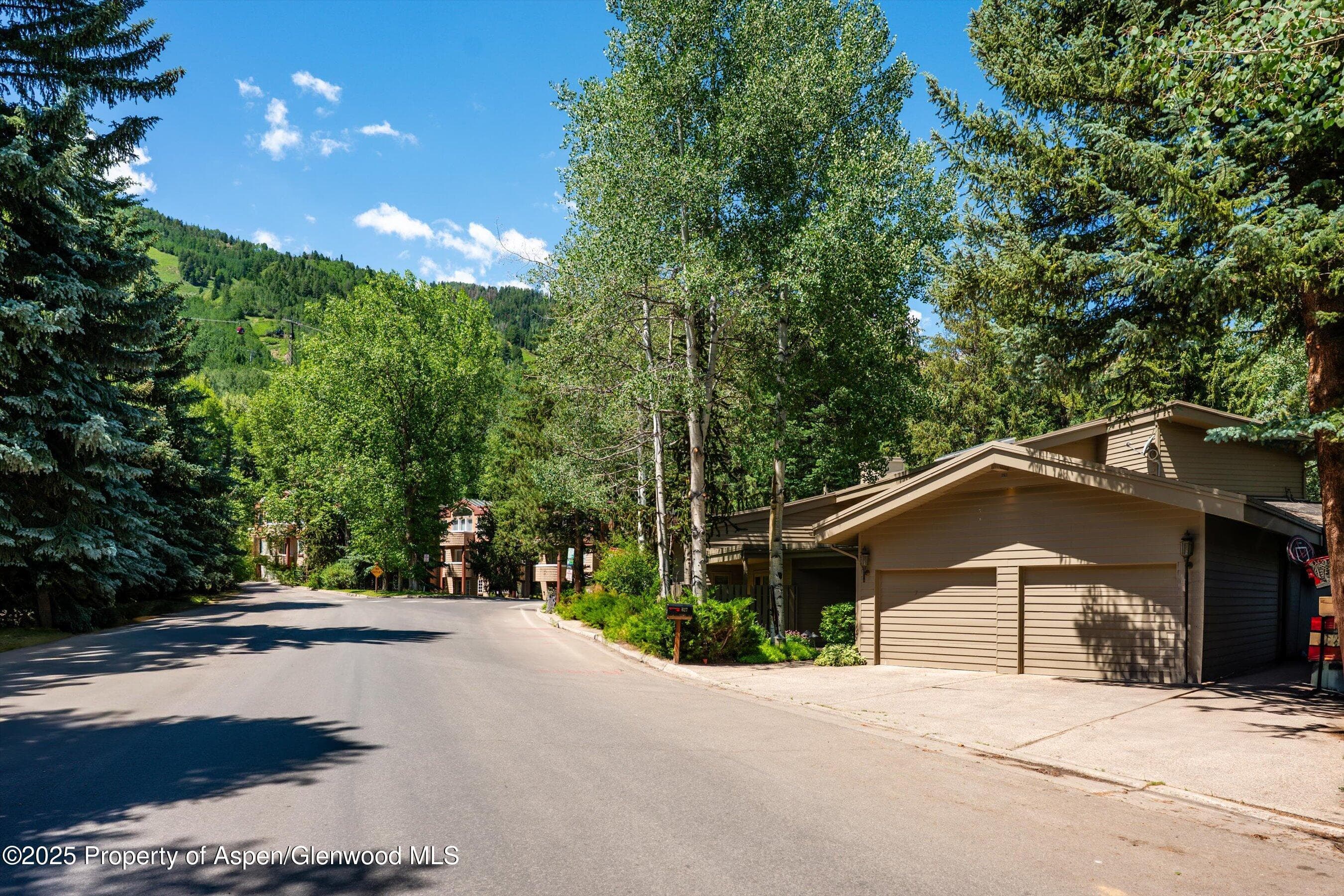 627 S Original Street, Aspen, CO 81611 - Photo 43