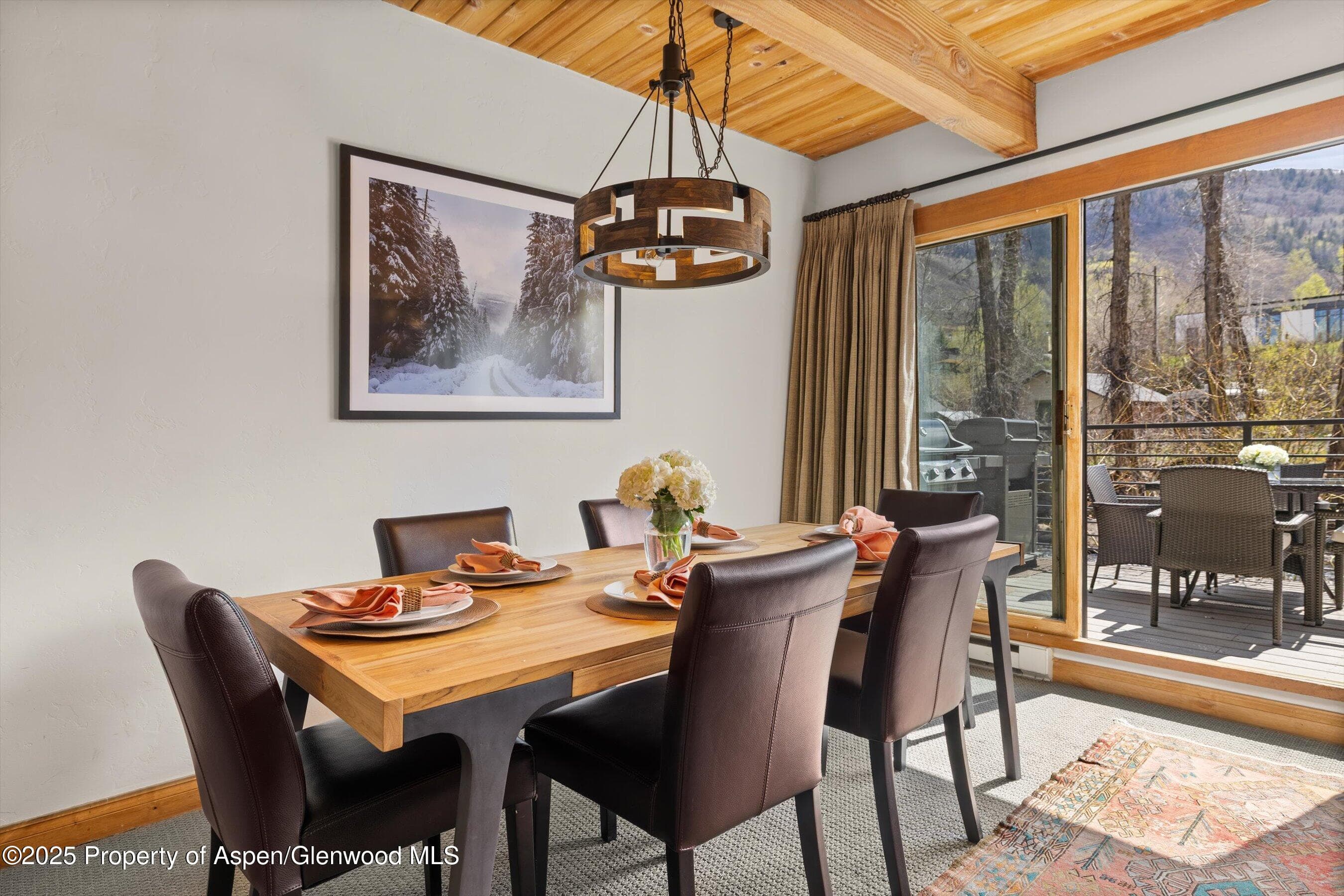 1039 E Cooper Avenue 21a, Aspen, CO 81611 - Photo 12
