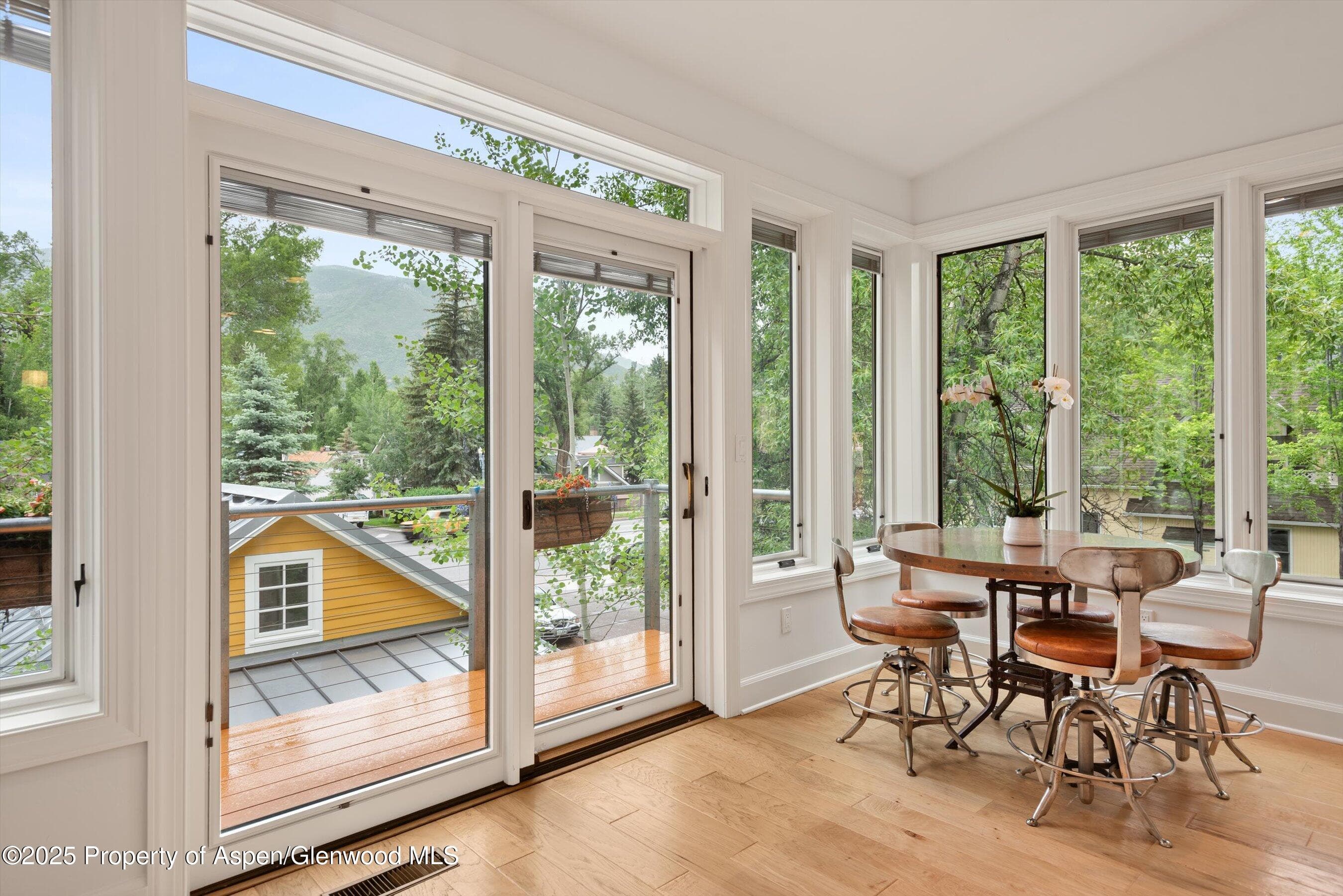 111 S Sixth Street Street, Aspen, CO 81611 - Photo 15