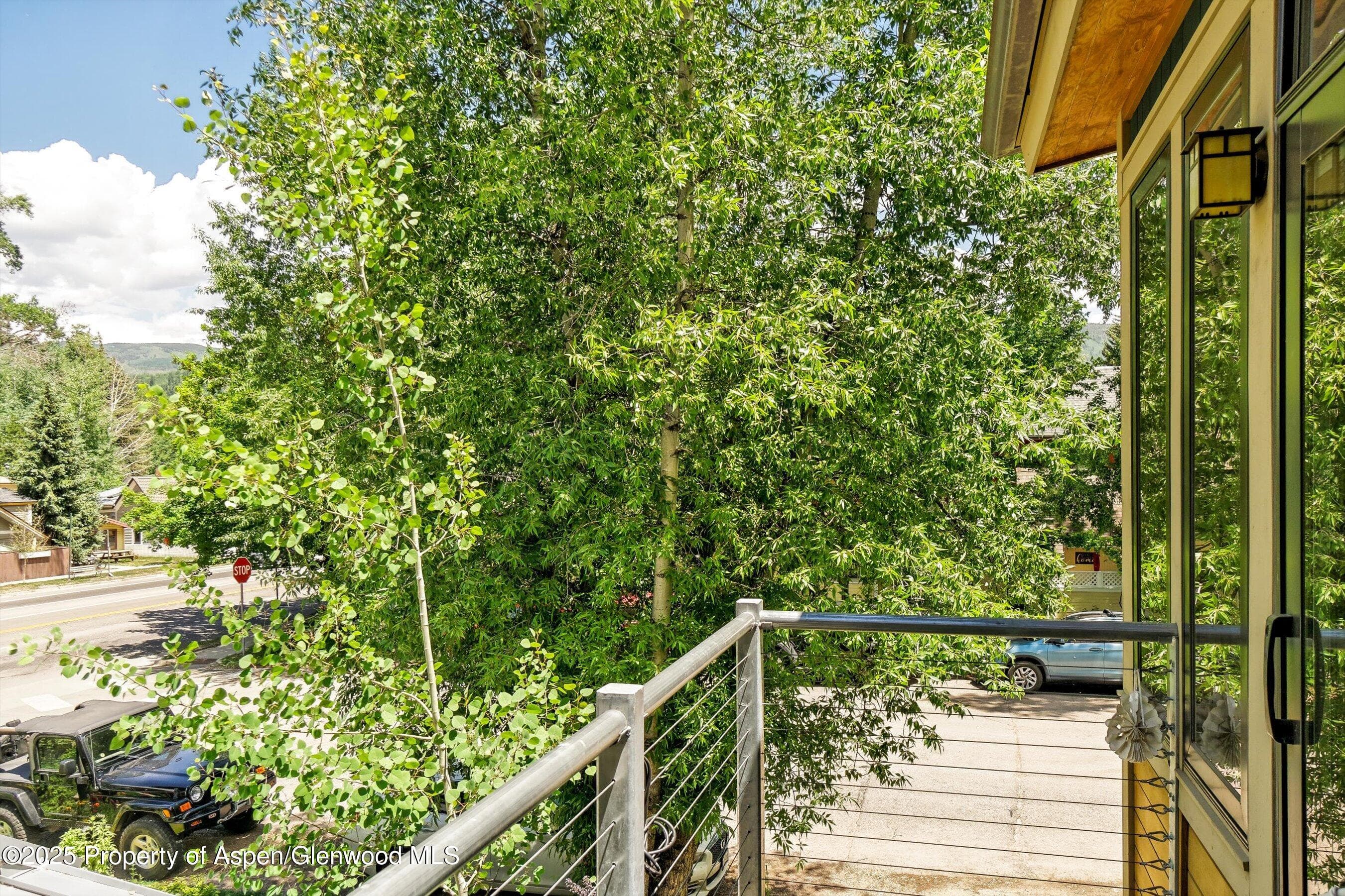 111 S Sixth Street Street, Aspen, CO 81611 - Photo 39