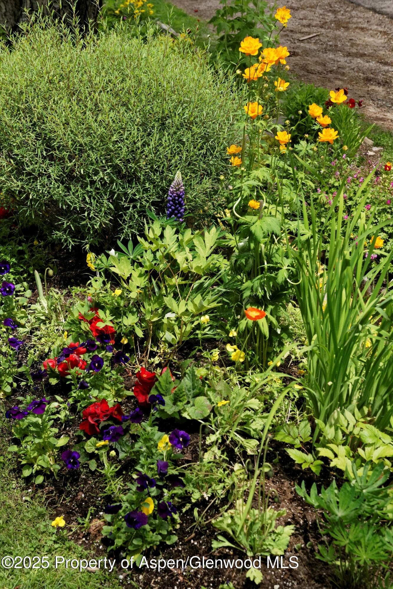 111 S Sixth Street Street, Aspen, CO 81611 - Photo 60