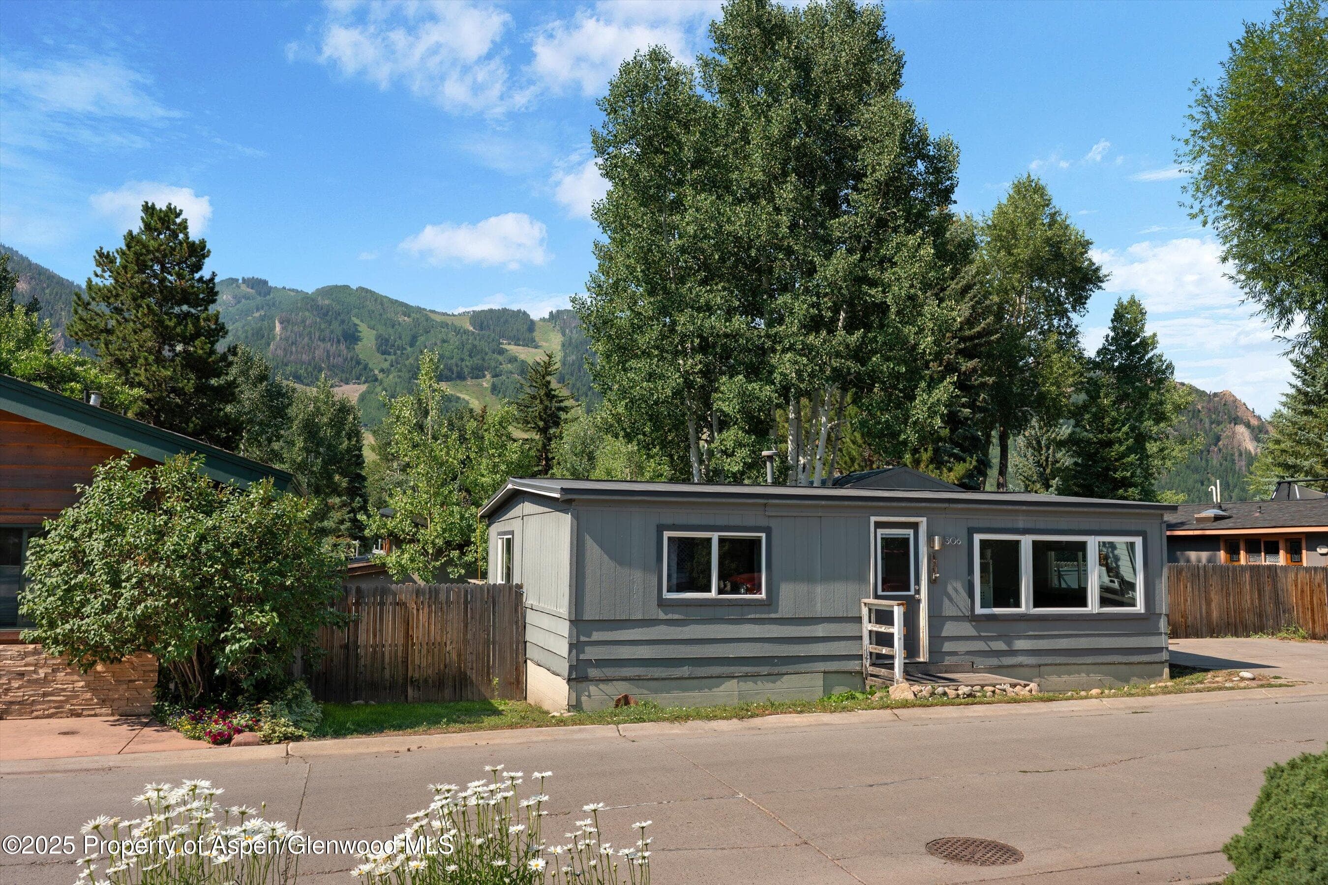 306 Oak Lane, Aspen, CO 81611 - Photo 10