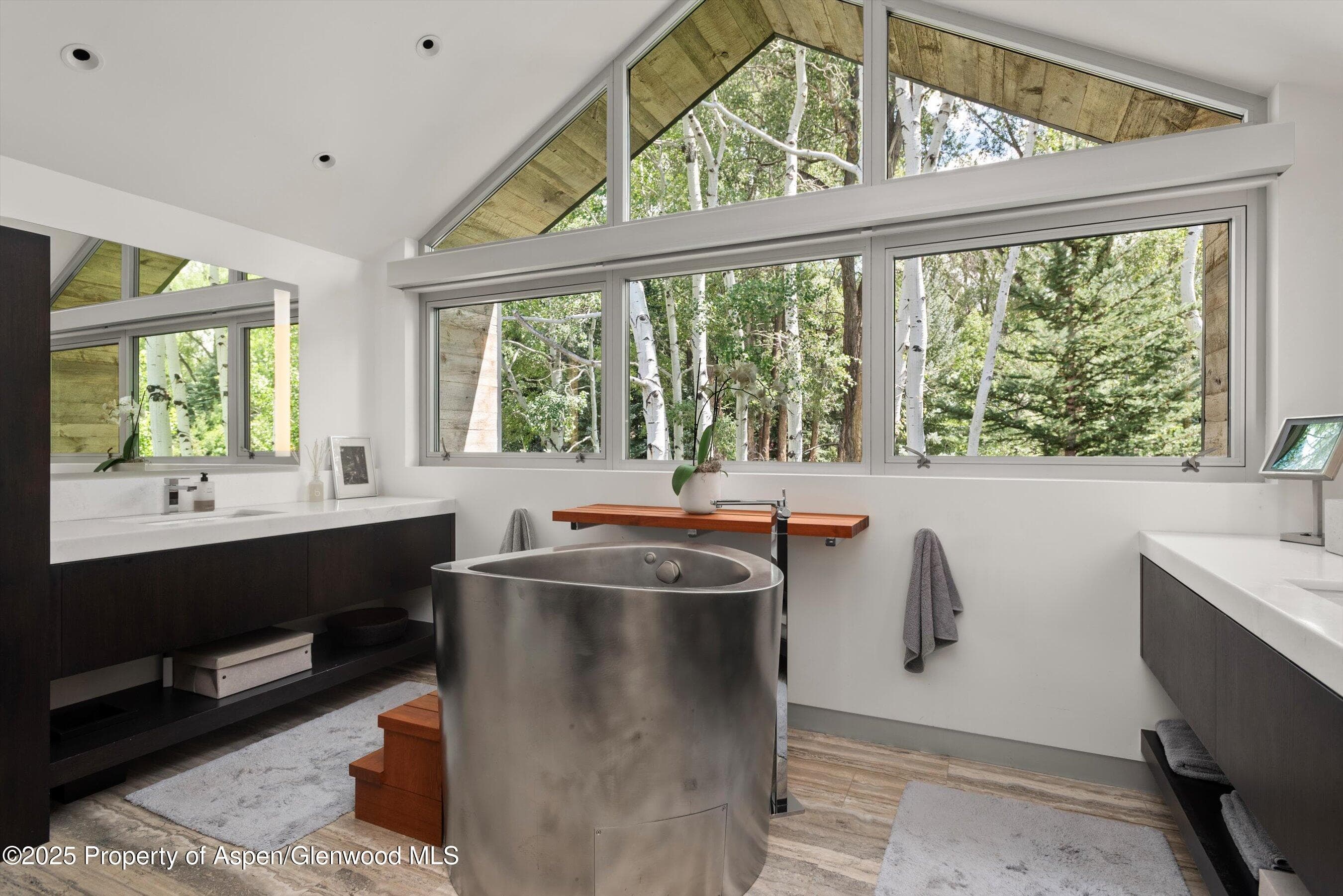1180 Black Birch Drive, Aspen, CO 81611 - Photo 12