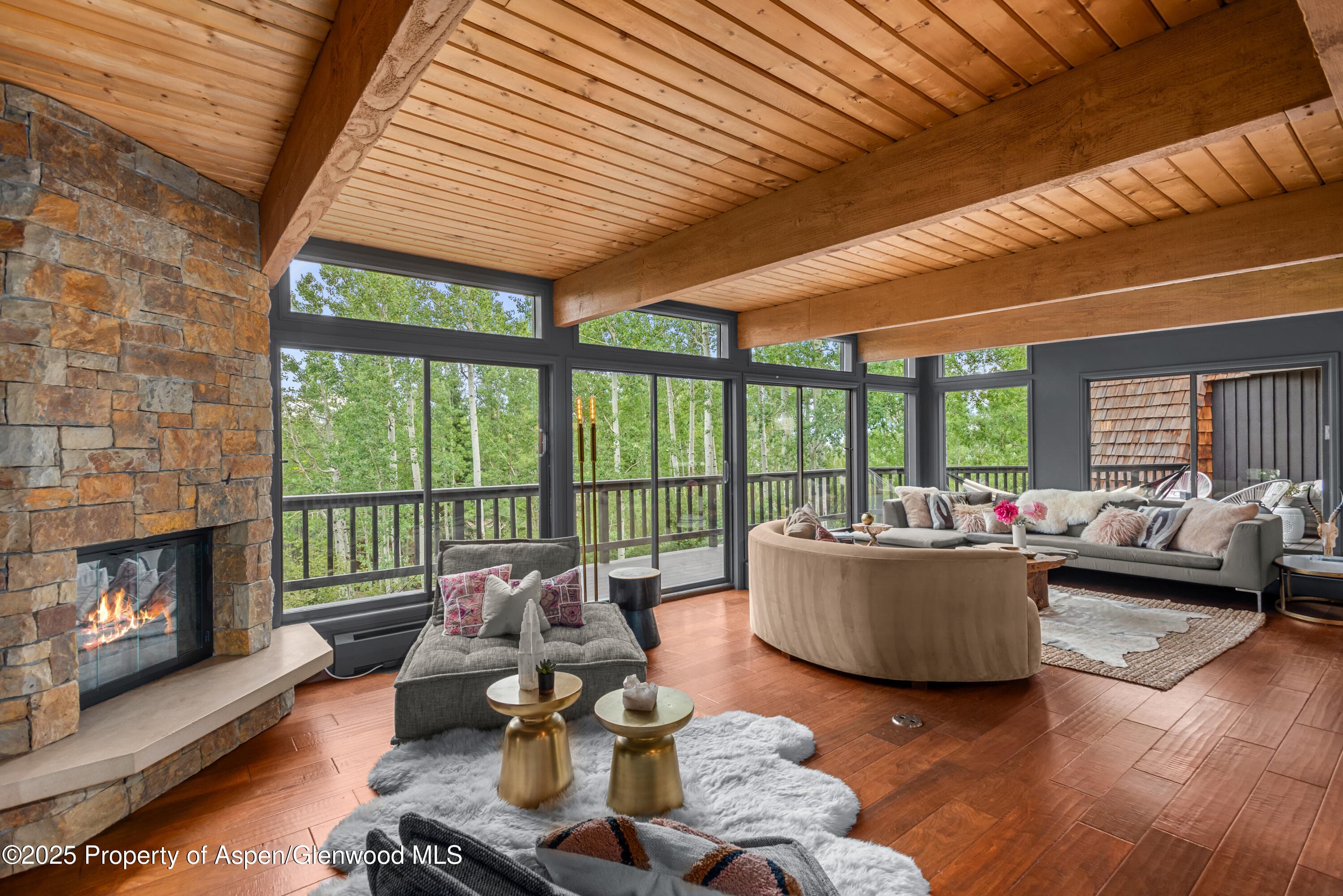 49 Elk Ridge Lane, Snowmass Village, CO 81615 - Photo 7