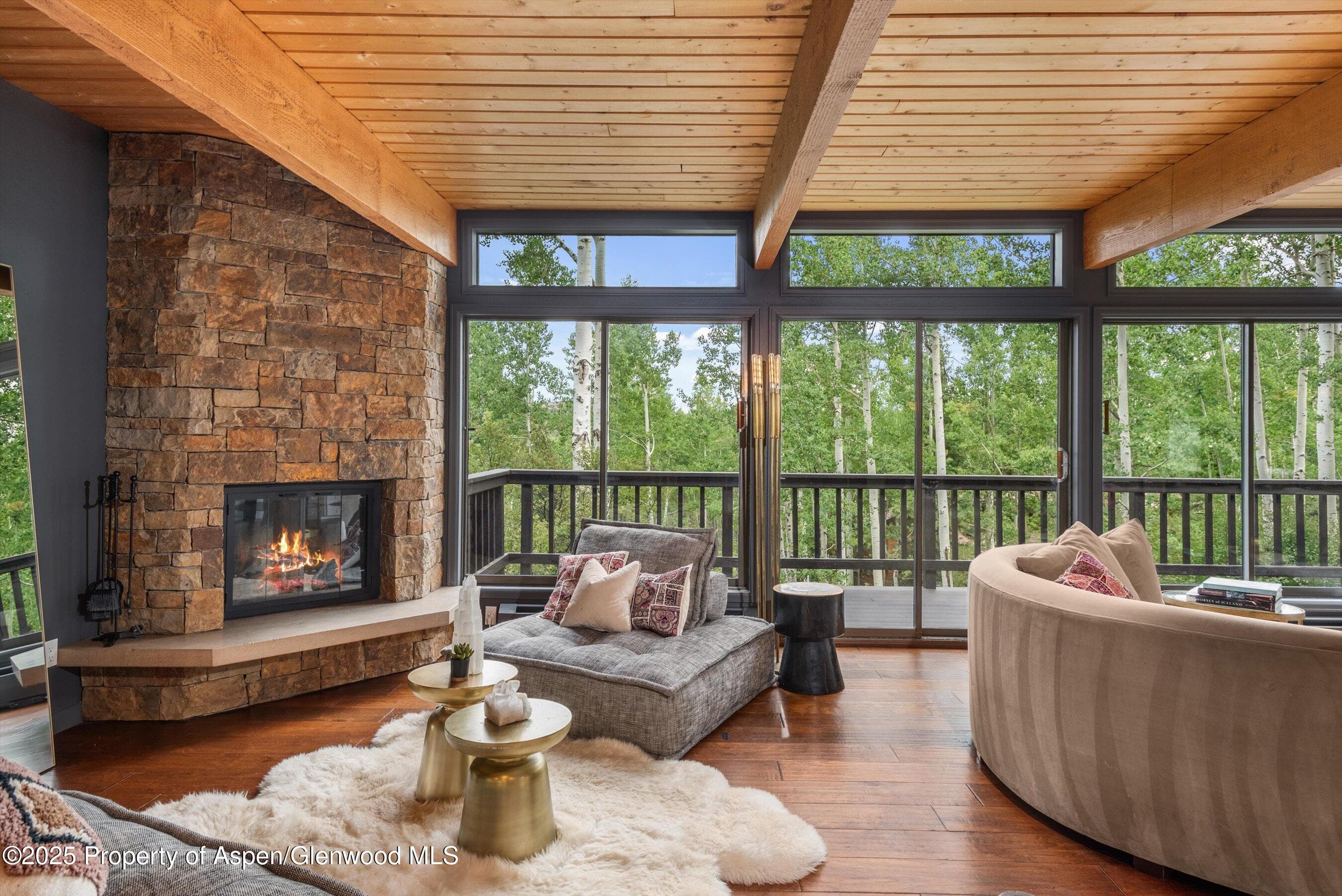 49 Elk Ridge Lane, Snowmass Village, CO 81615 - Photo 8