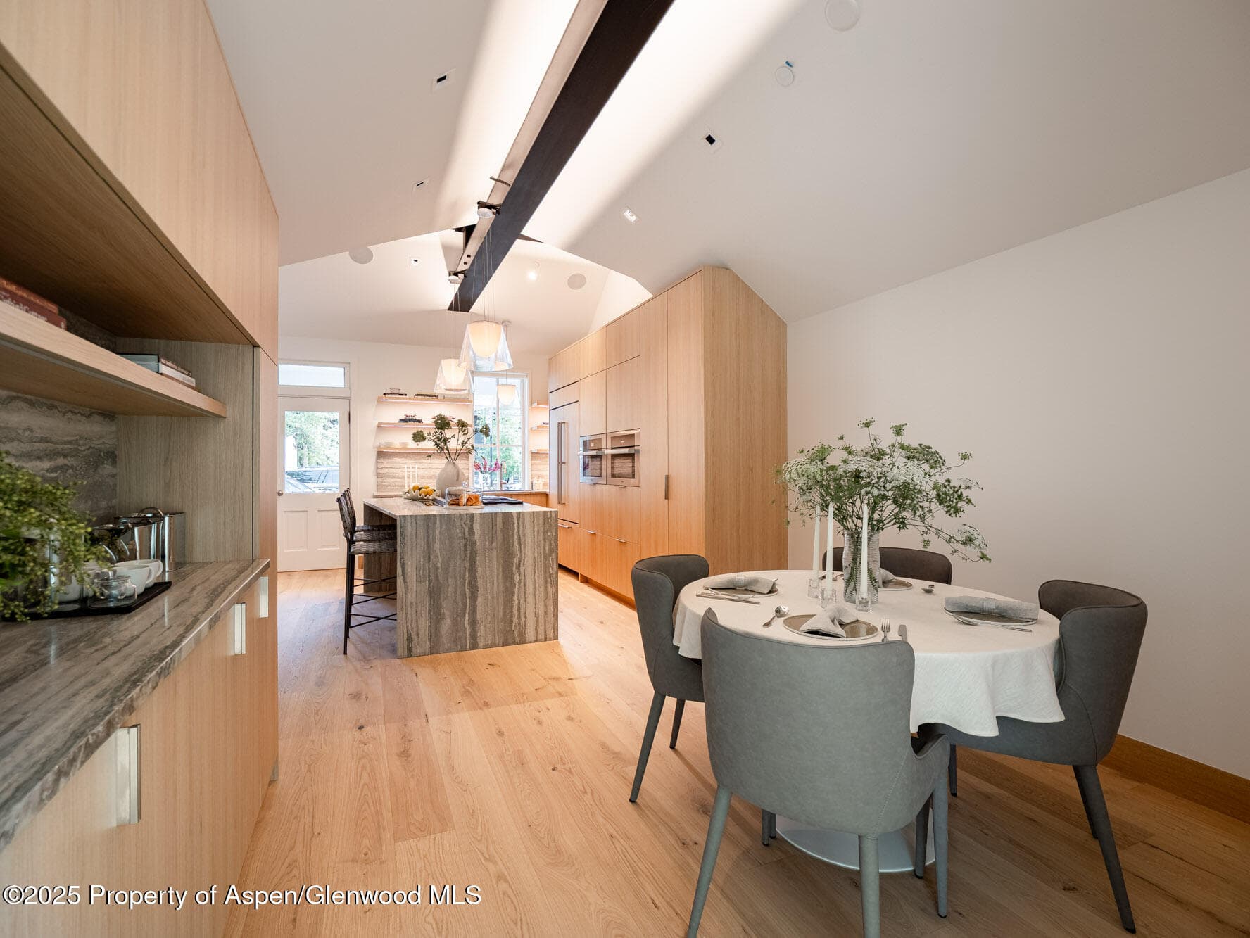 227 E Main Street, Aspen, CO 81611 - Photo 11