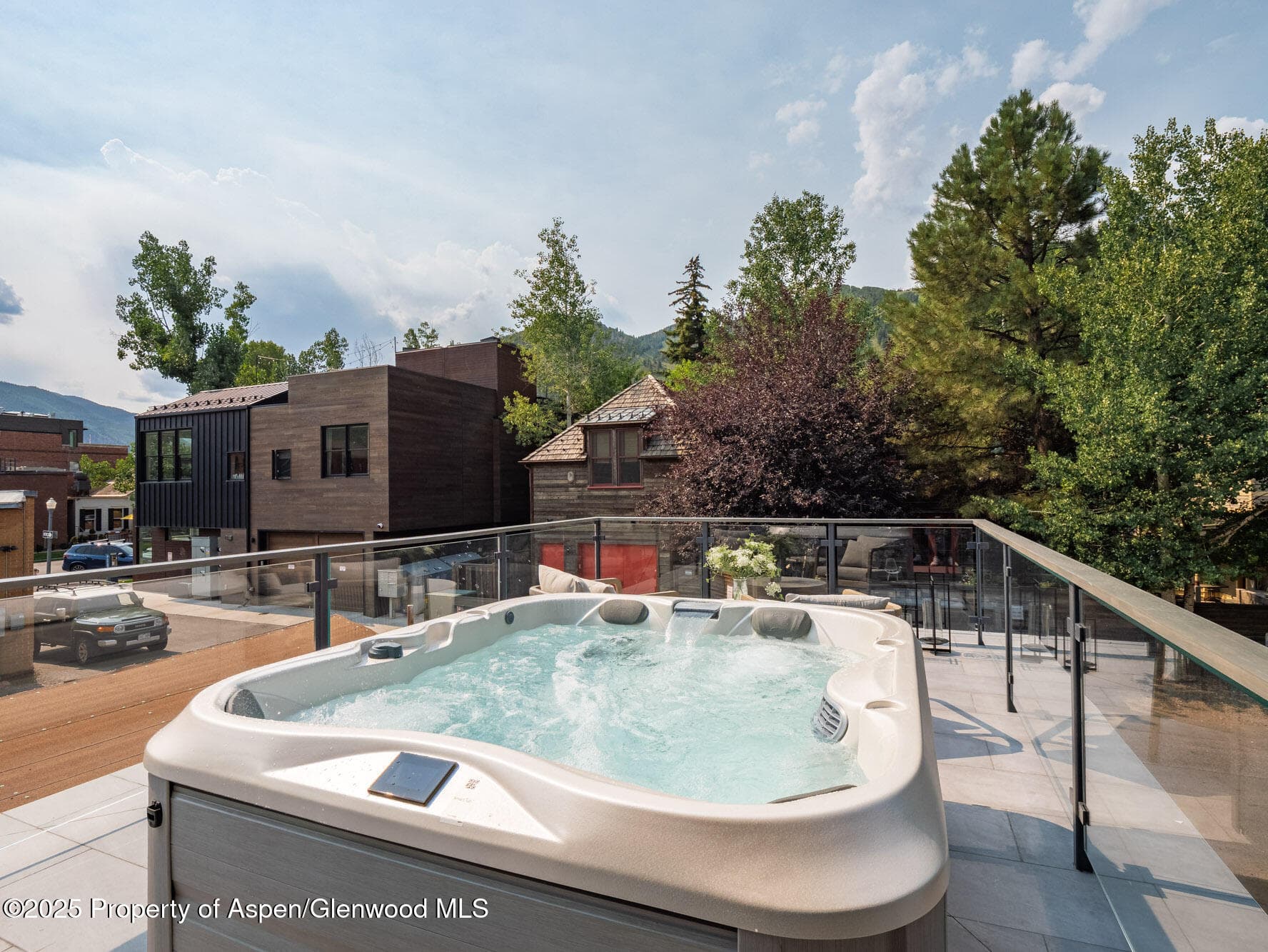 227 E Main Street, Aspen, CO 81611 - Photo 19