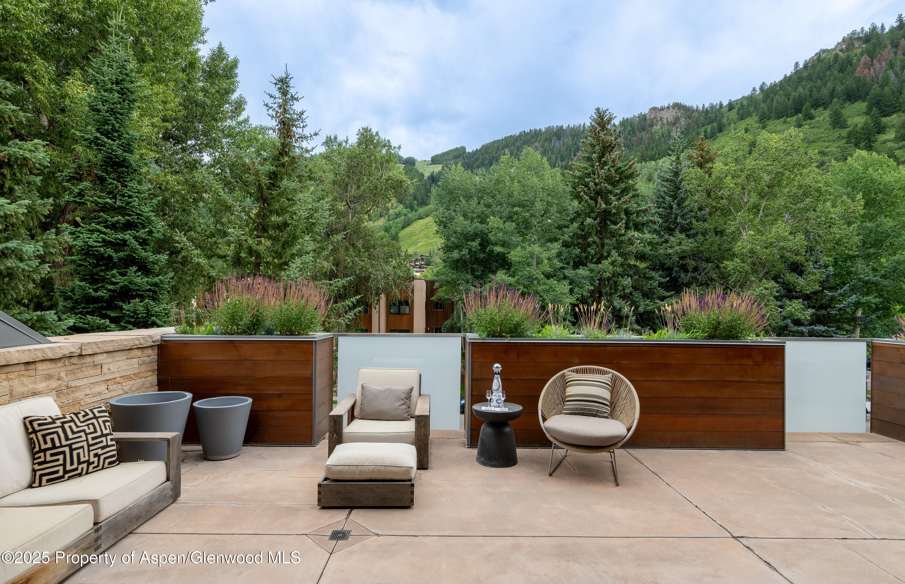 100 E Cooper Avenue 11, Aspen, CO 81611 - Photo 40