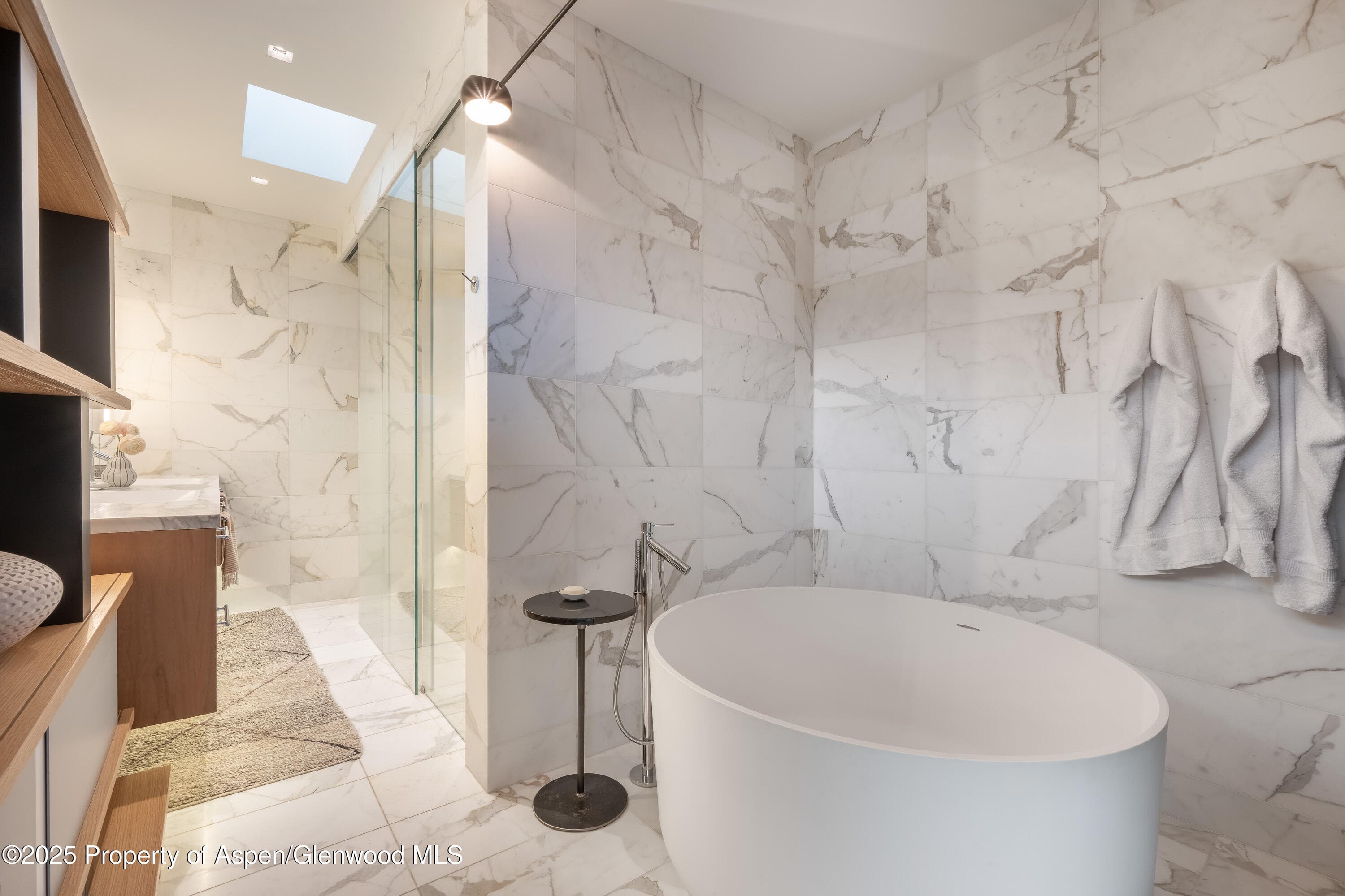 100 E Cooper Avenue 11, Aspen, CO 81611 - Photo 25