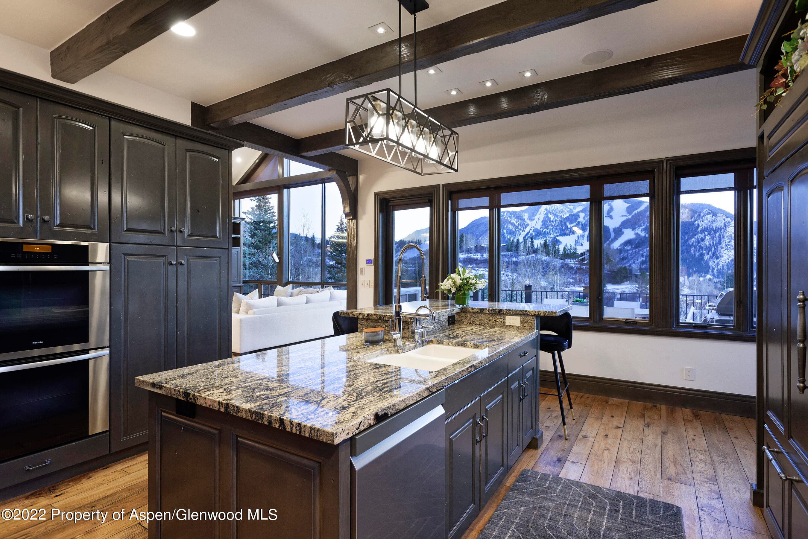 349 Draw Drive, Aspen, CO 81611 - Photo 10