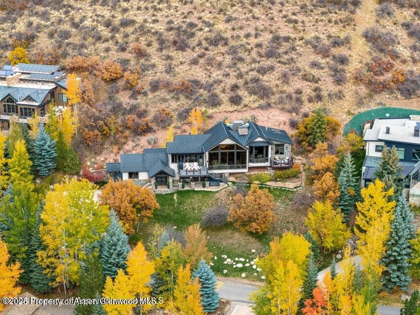349 Draw Drive, Aspen, CO 81611 - Photo 30