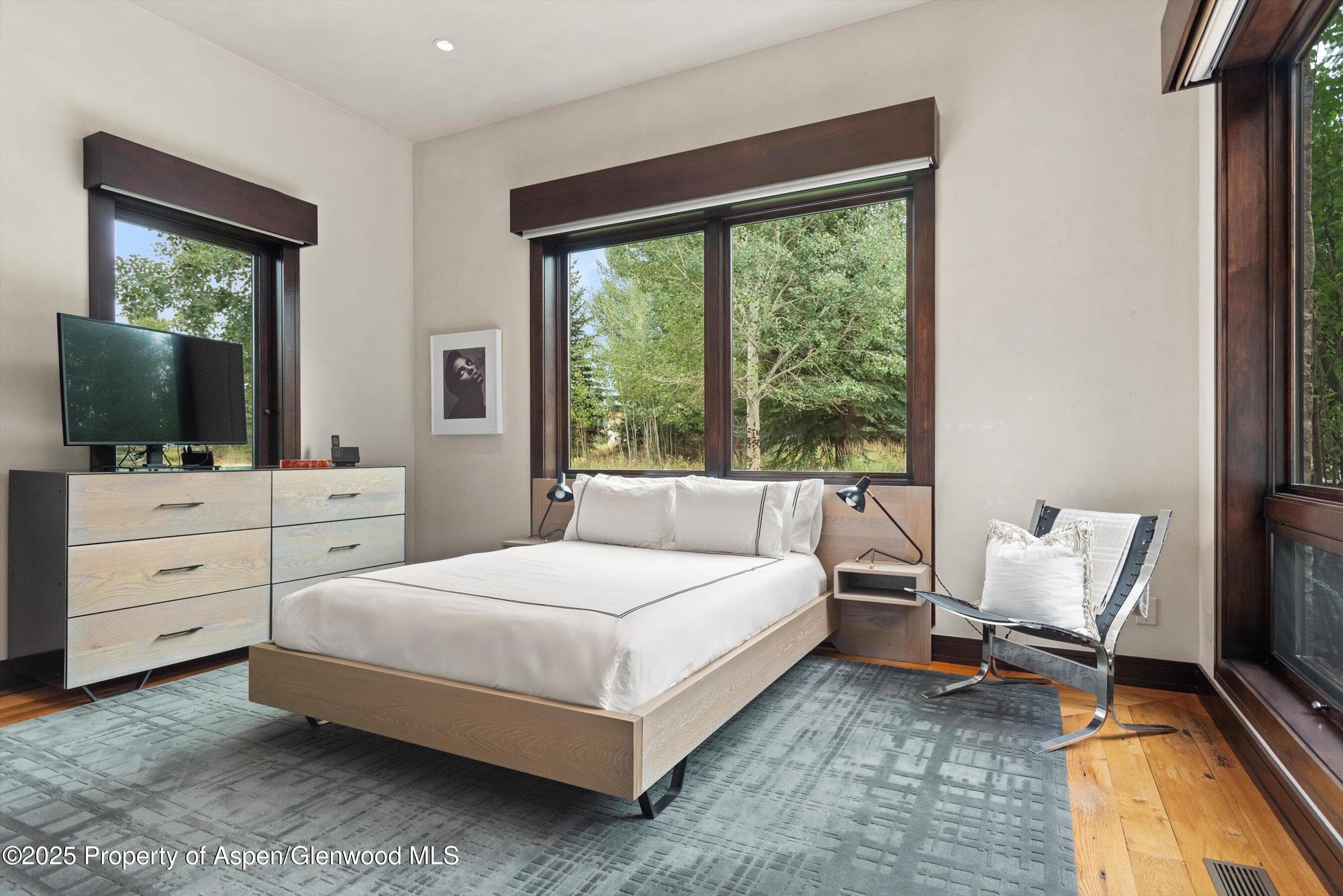 101 Byers Court, Aspen, CO 81611 - Photo 17
