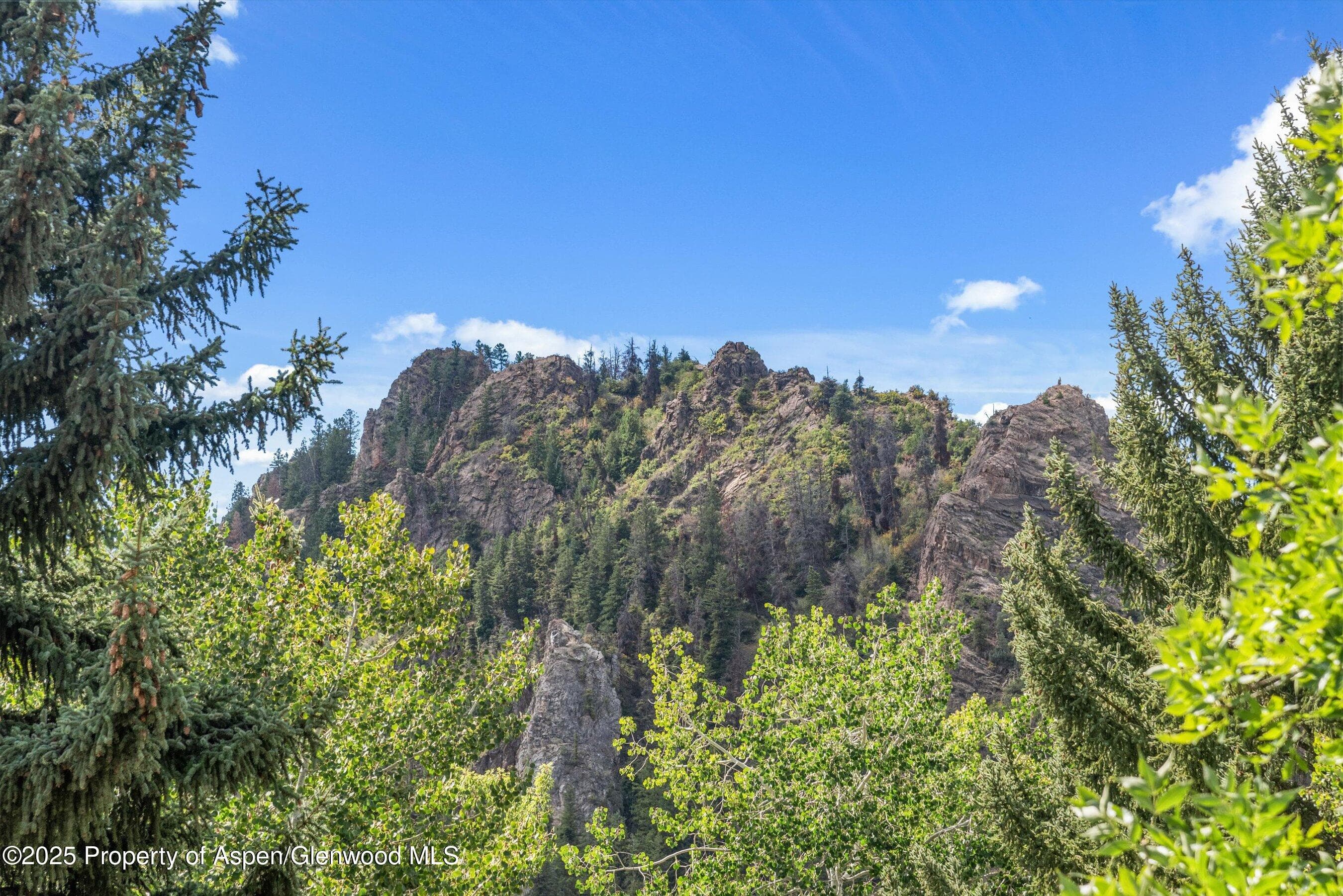 500 W Francis Street, Aspen, CO 81611 - Photo 7