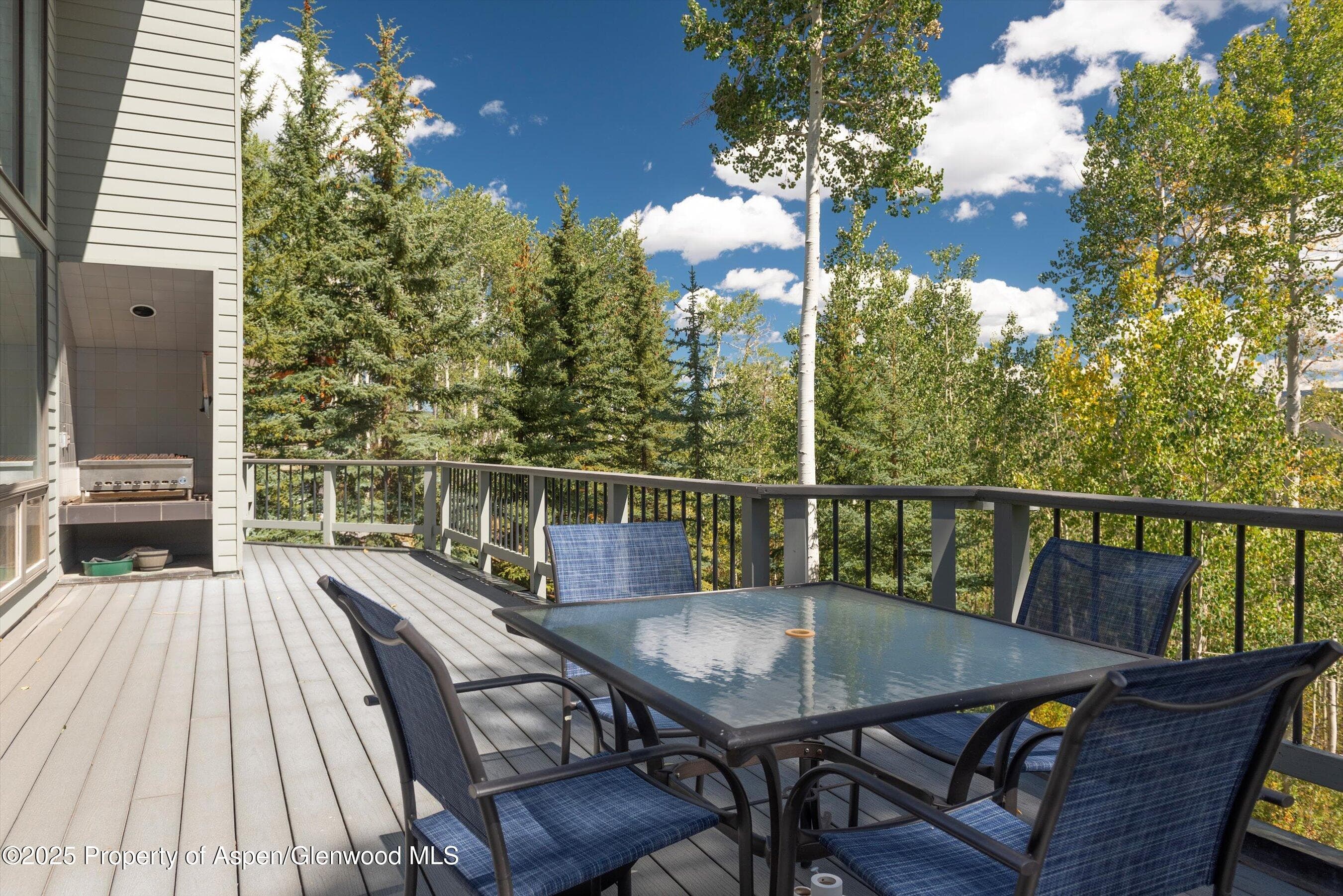 64 Ermine Lane, Snowmass Village, CO 81615 - Photo 32