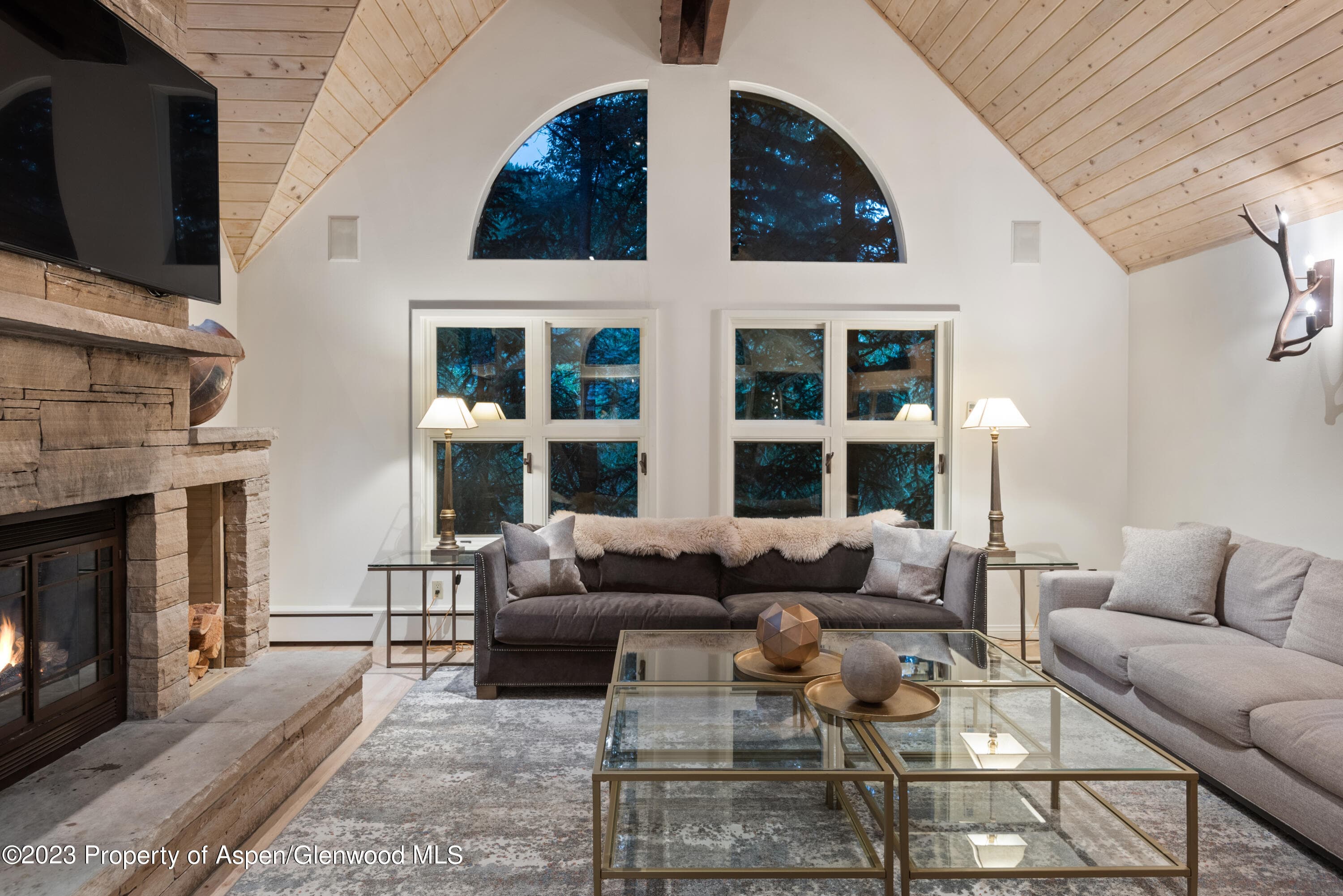 901 Ute Avenue, Aspen, CO 81611 - Photo 5