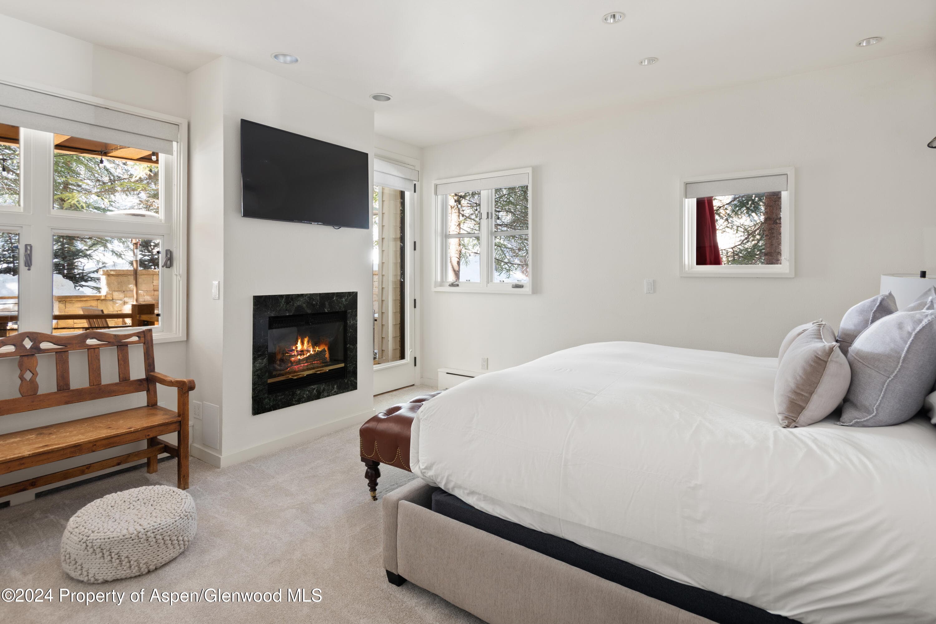 901 Ute Avenue, Aspen, CO 81611 - Photo 22