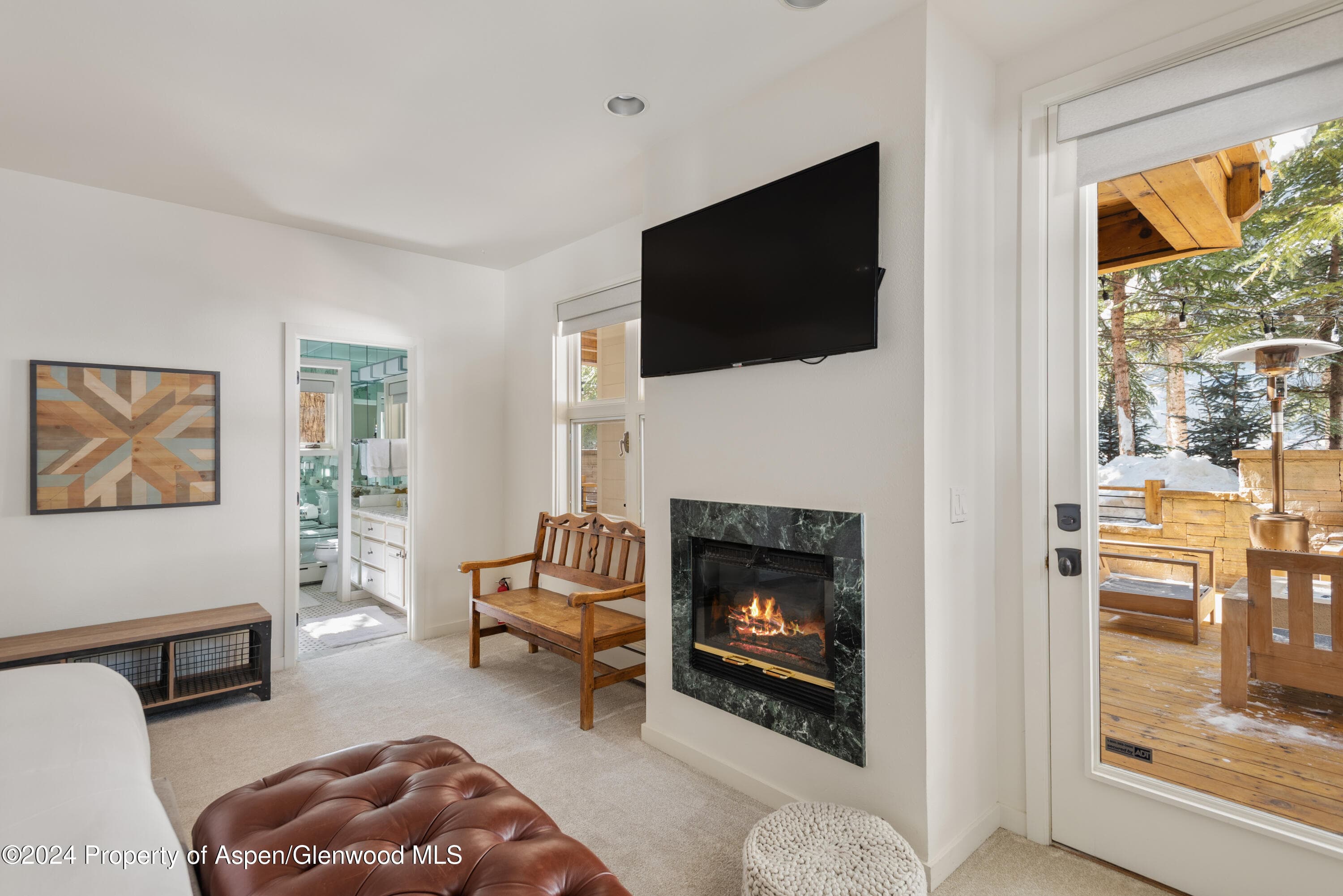 901 Ute Avenue, Aspen, CO 81611 - Photo 23