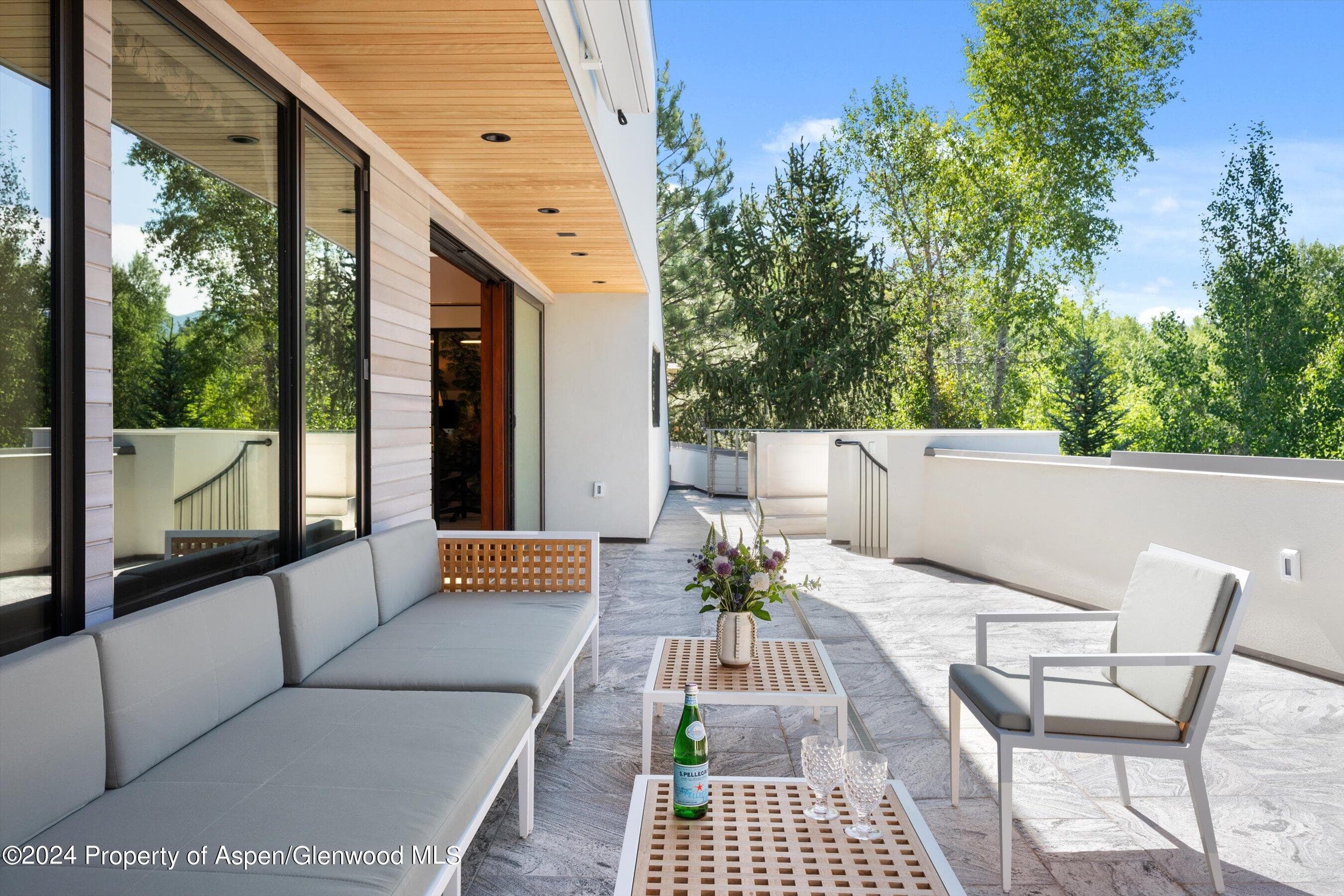 701 Gibson Avenue, Aspen, CO 81611 - Photo 50