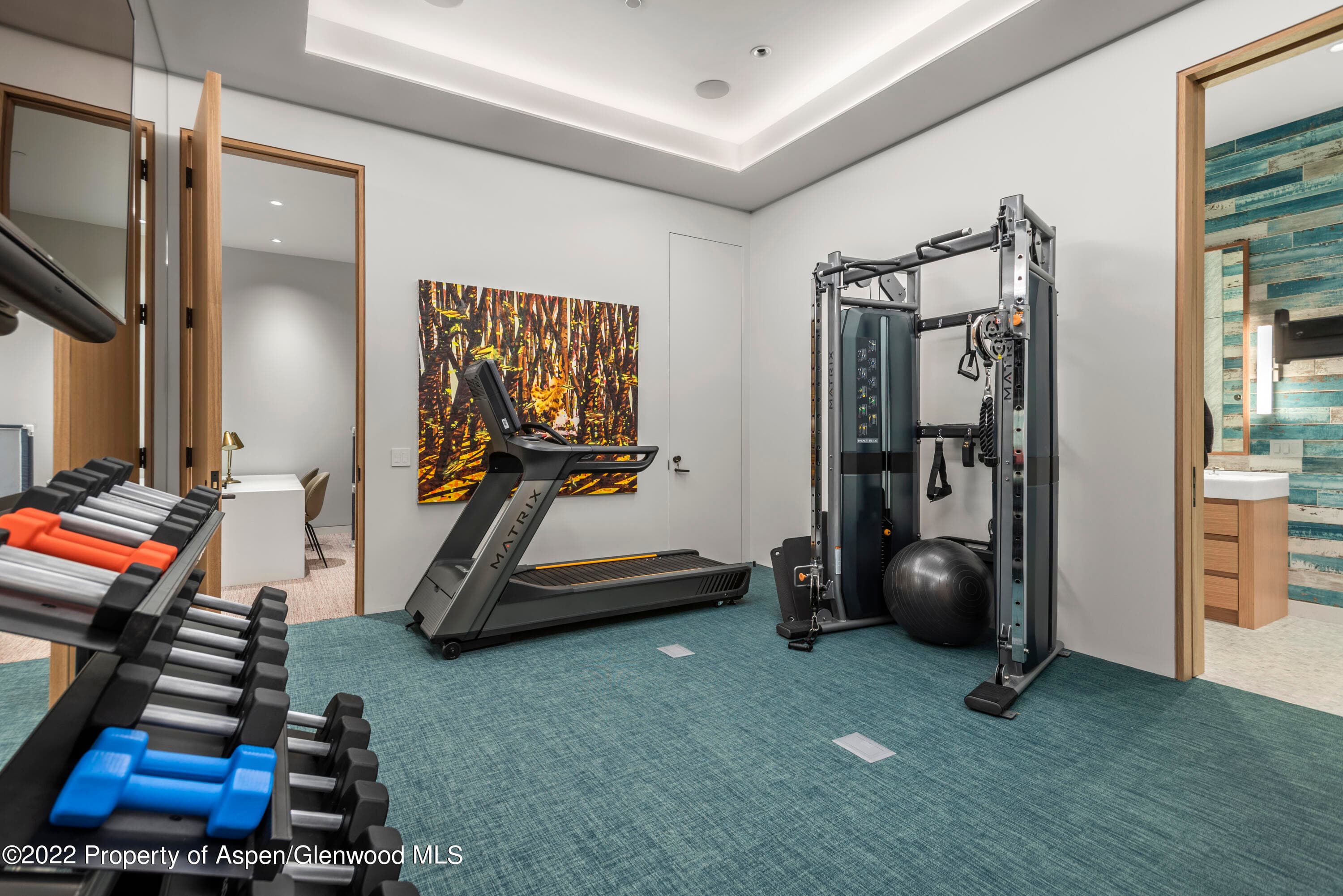 89 Slalom Path, Aspen, CO 81611 - Photo 33
