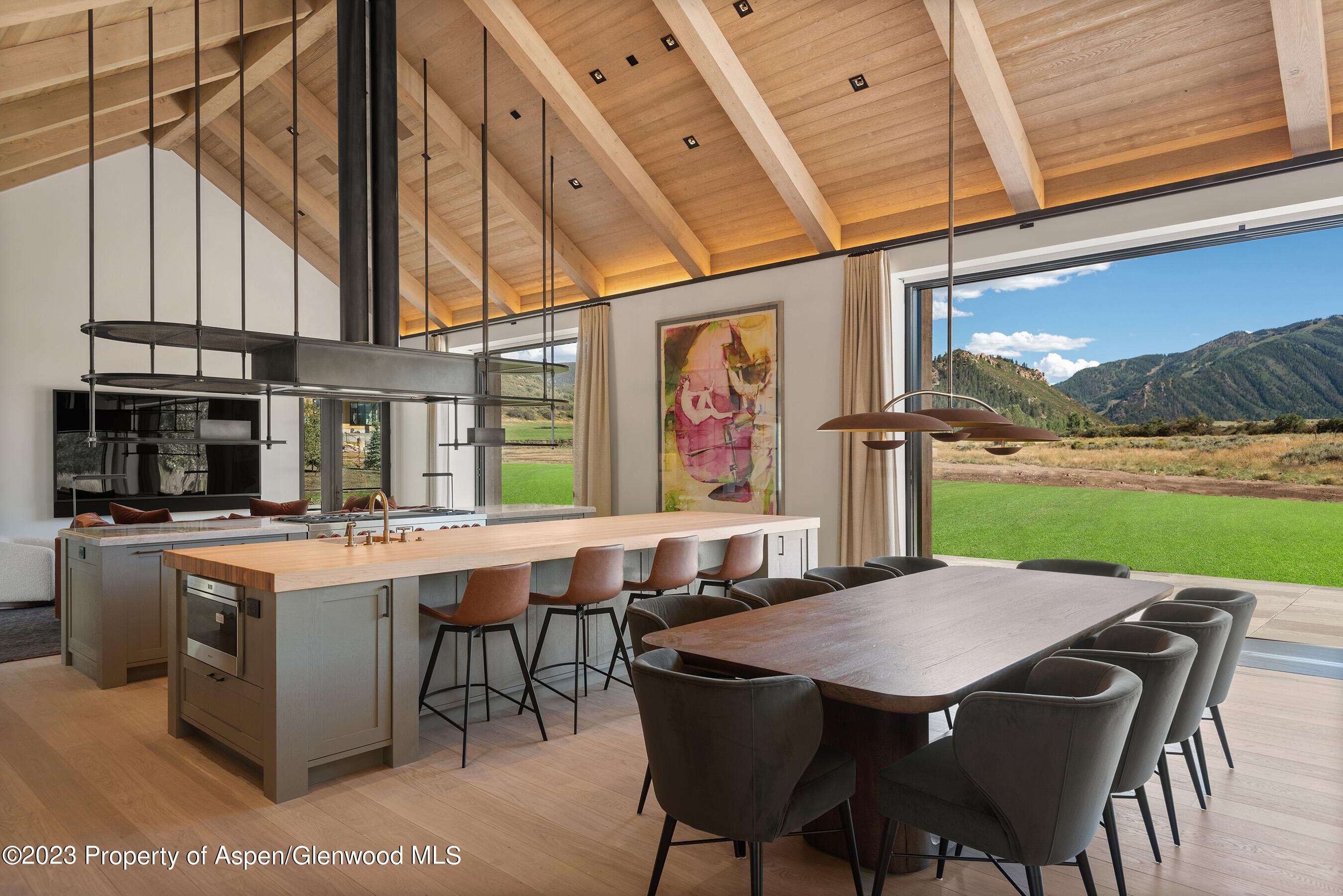 245 Slalom Path, Aspen, CO 81611 - Photo 11