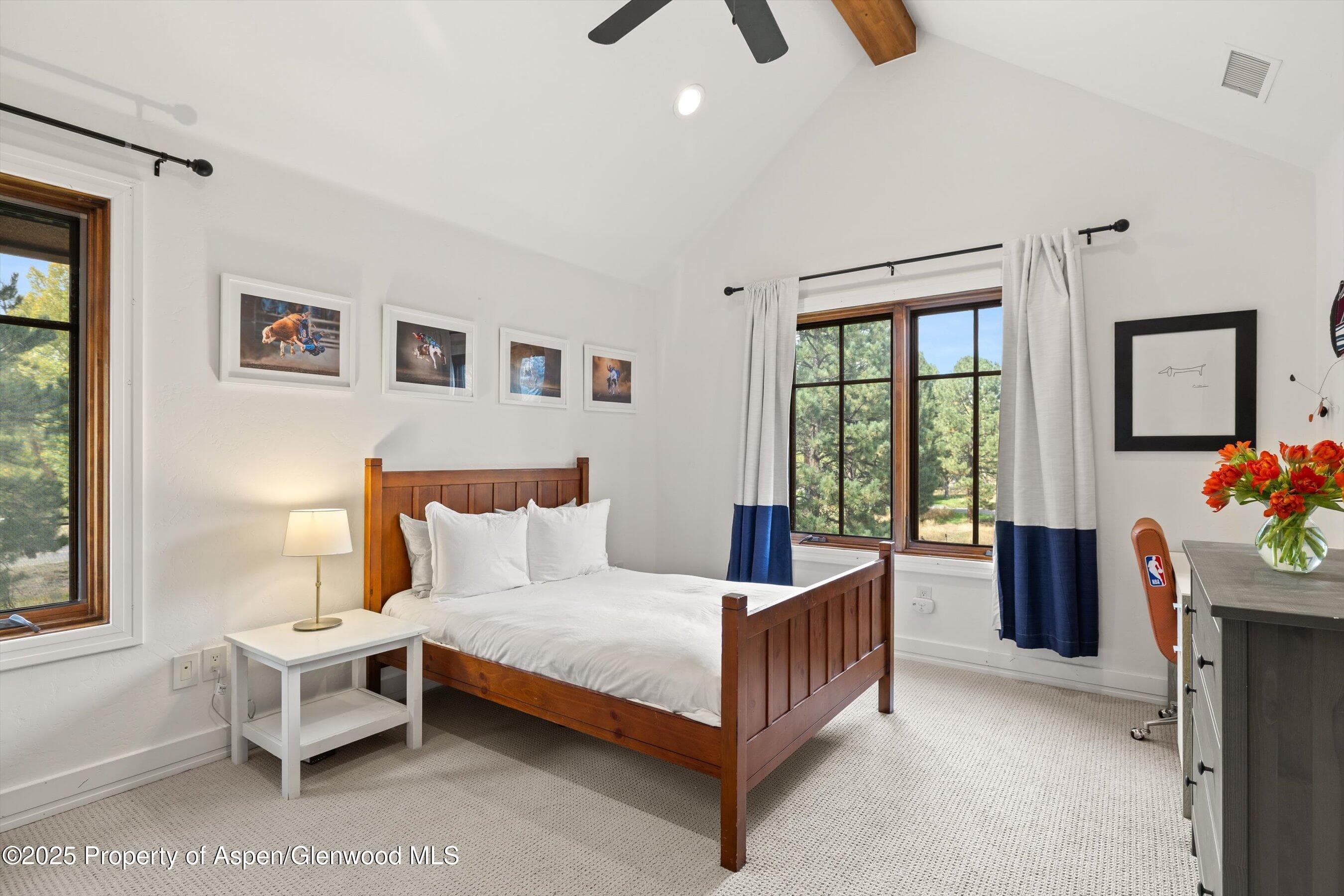 41 Choke Cherry Court, Carbondale, CO 81623 - Photo 16