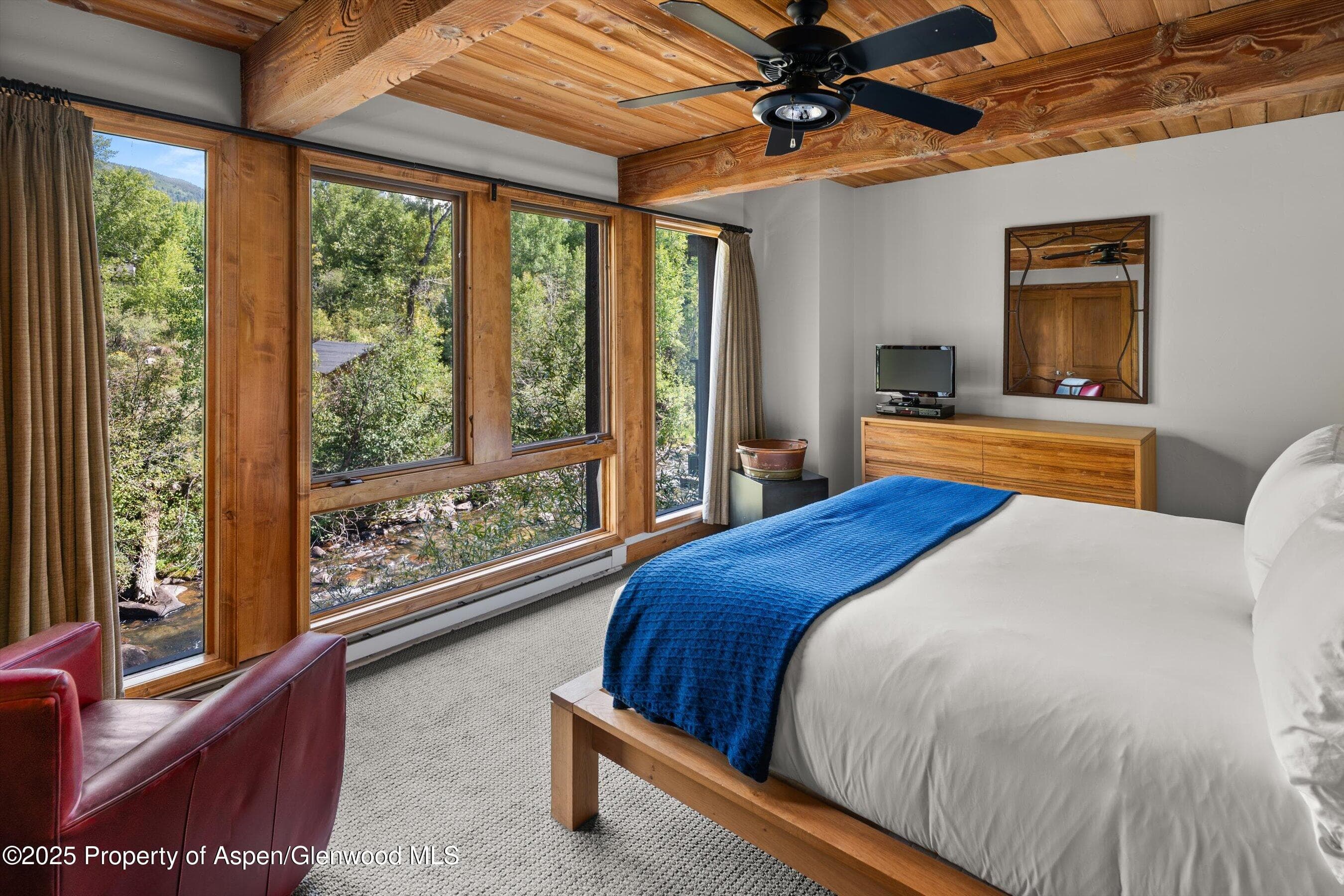 1039 E Cooper Avenue 21a, Aspen, CO 81611 - Photo 13