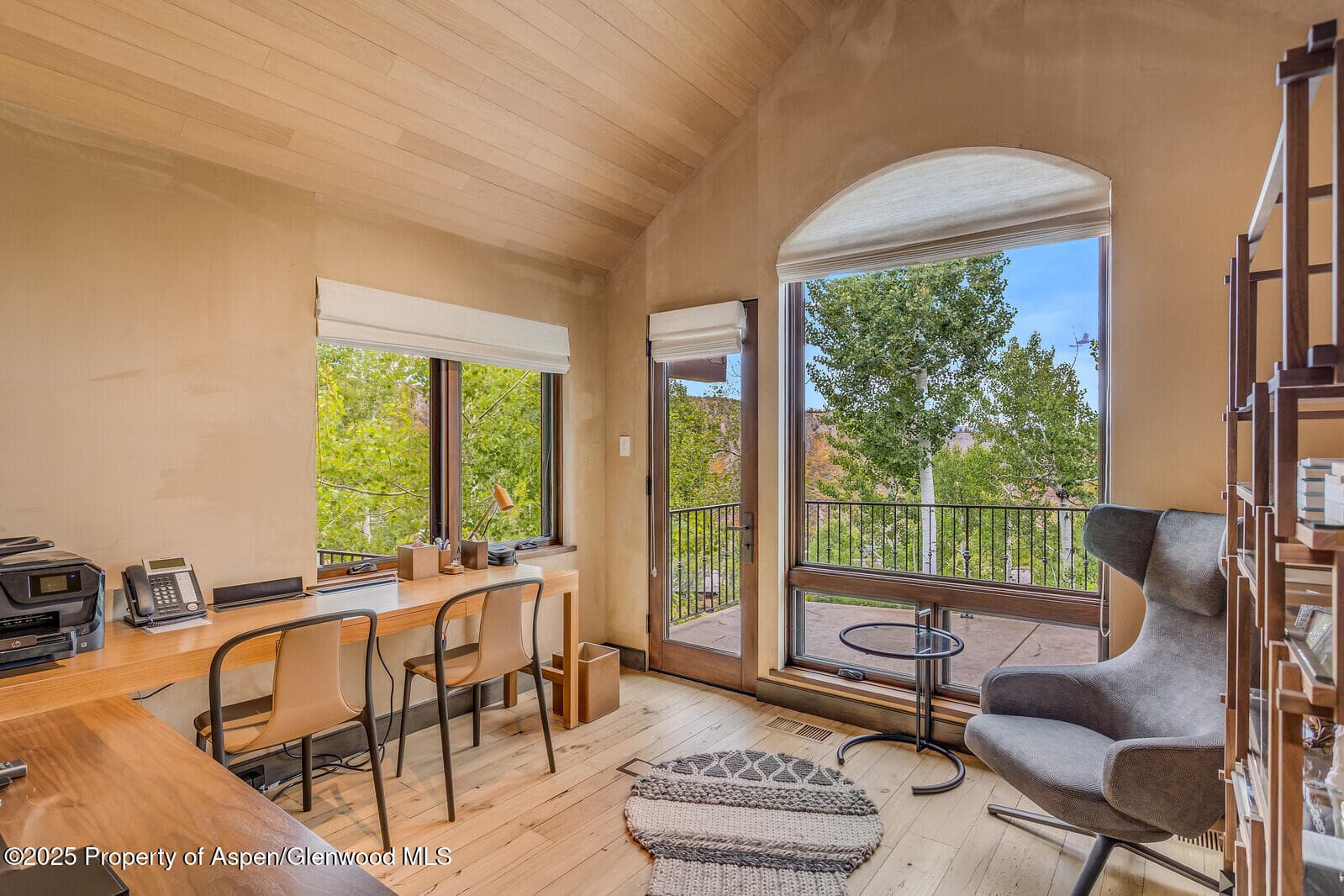511+563 Edgewood Lane, Snowmass Village, CO 81615 - Photo 12