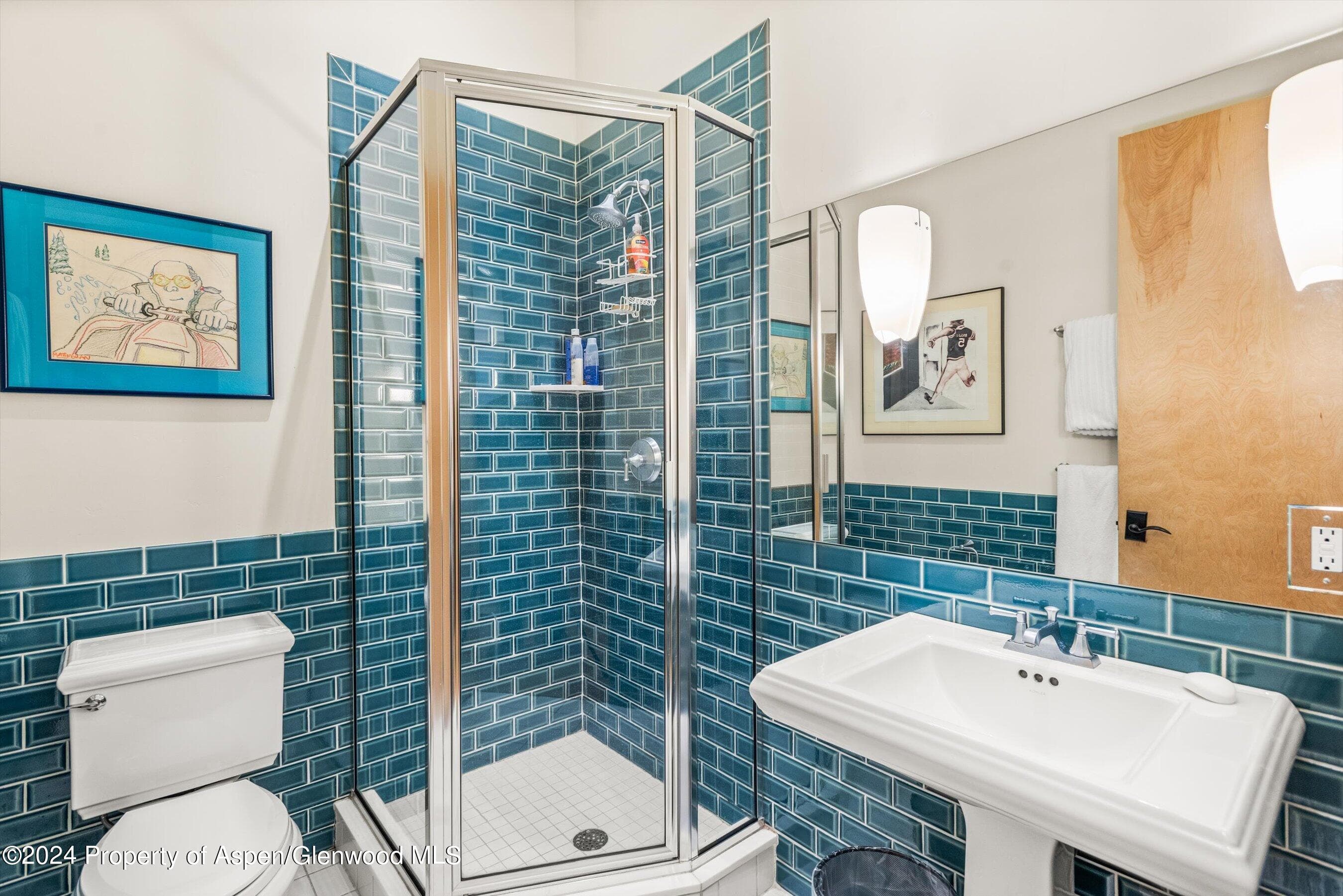 308 Park Avenue, Aspen, CO 81611 - Photo 17