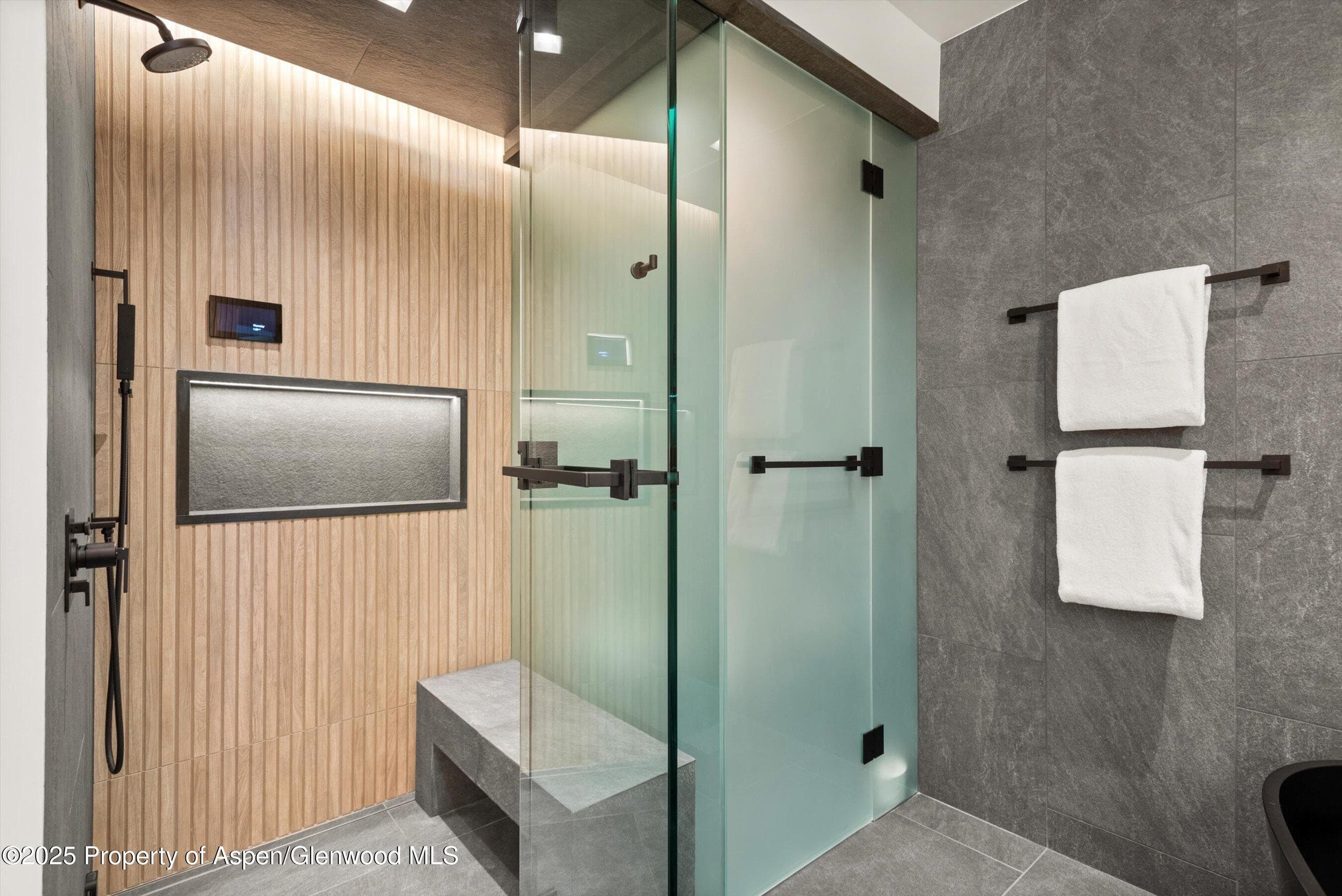 543 Walnut Street B, Aspen, CO 81611 - Photo 15