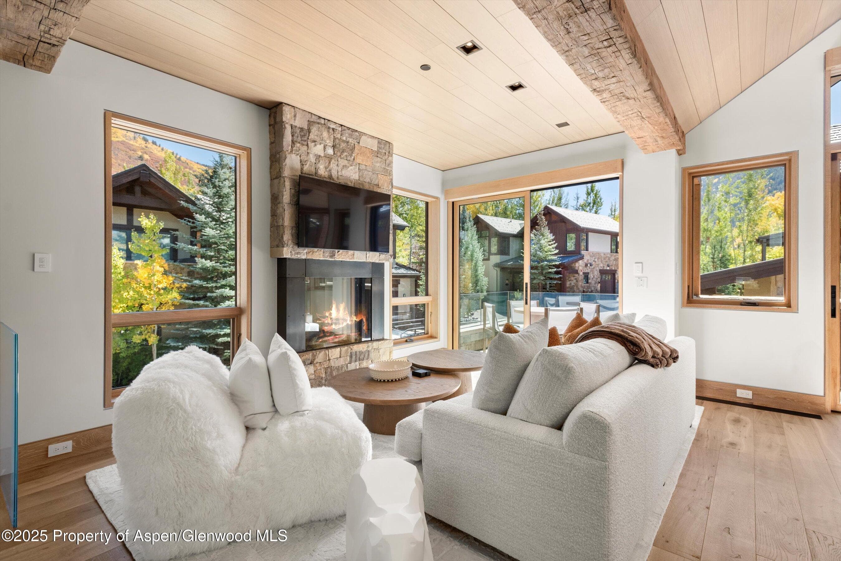 543 Walnut Street B, Aspen, CO 81611 - Photo 5