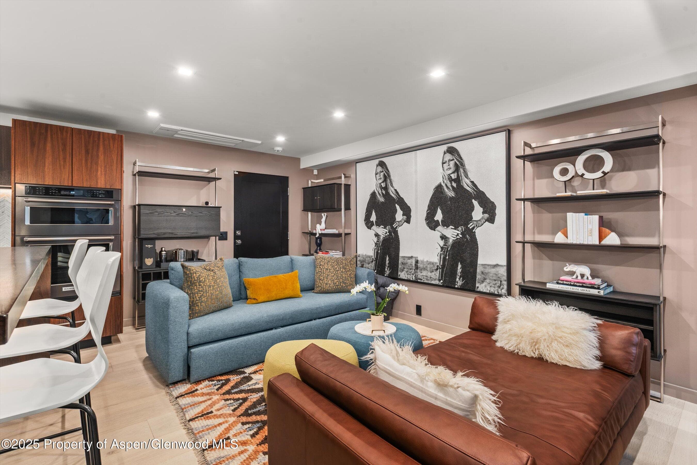 725 E Durant Avenue 22, Aspen, CO 81611 - Photo 4