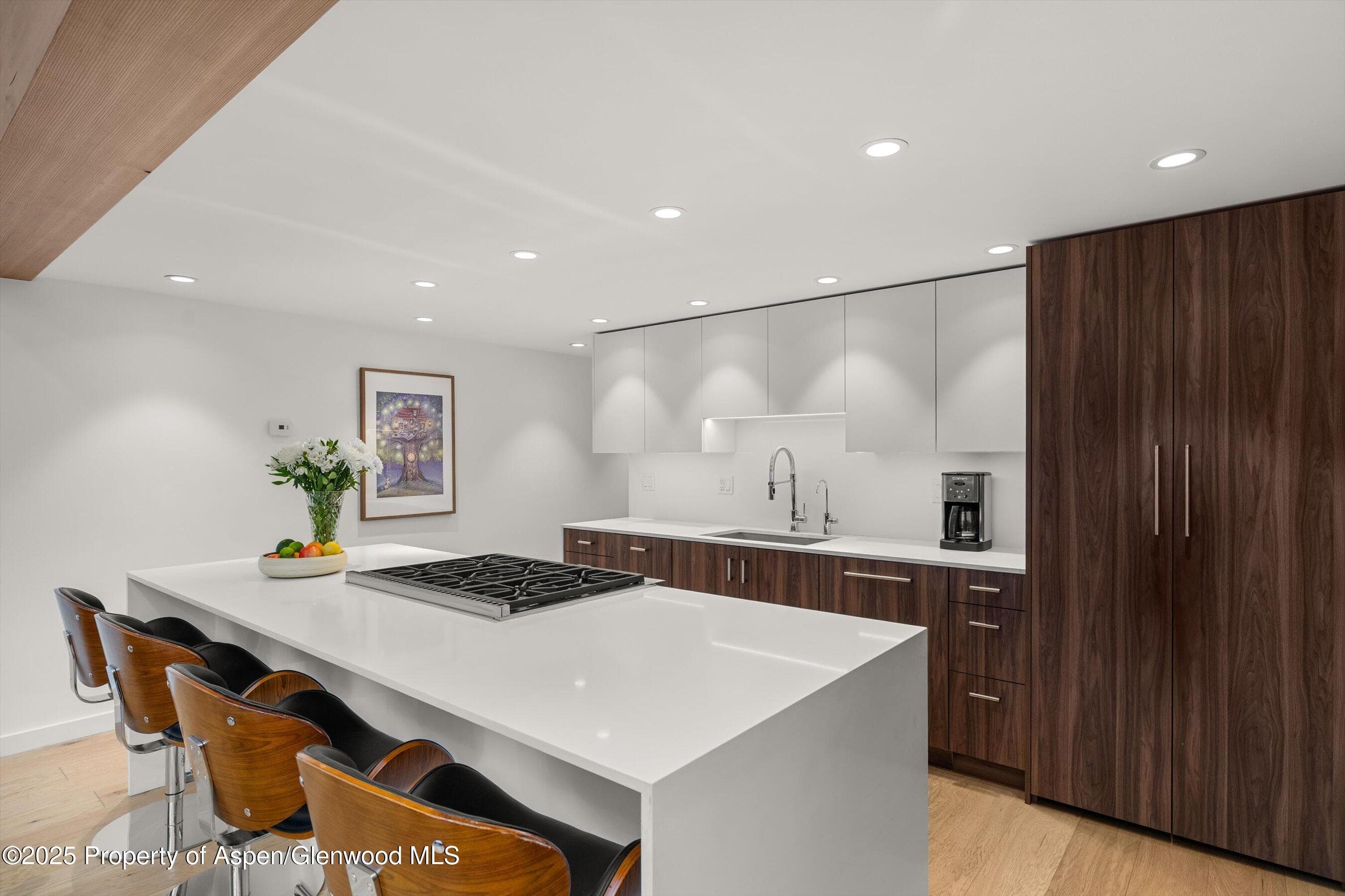 800 S Mill Street 303C, Aspen, CO 81611 - Photo 8
