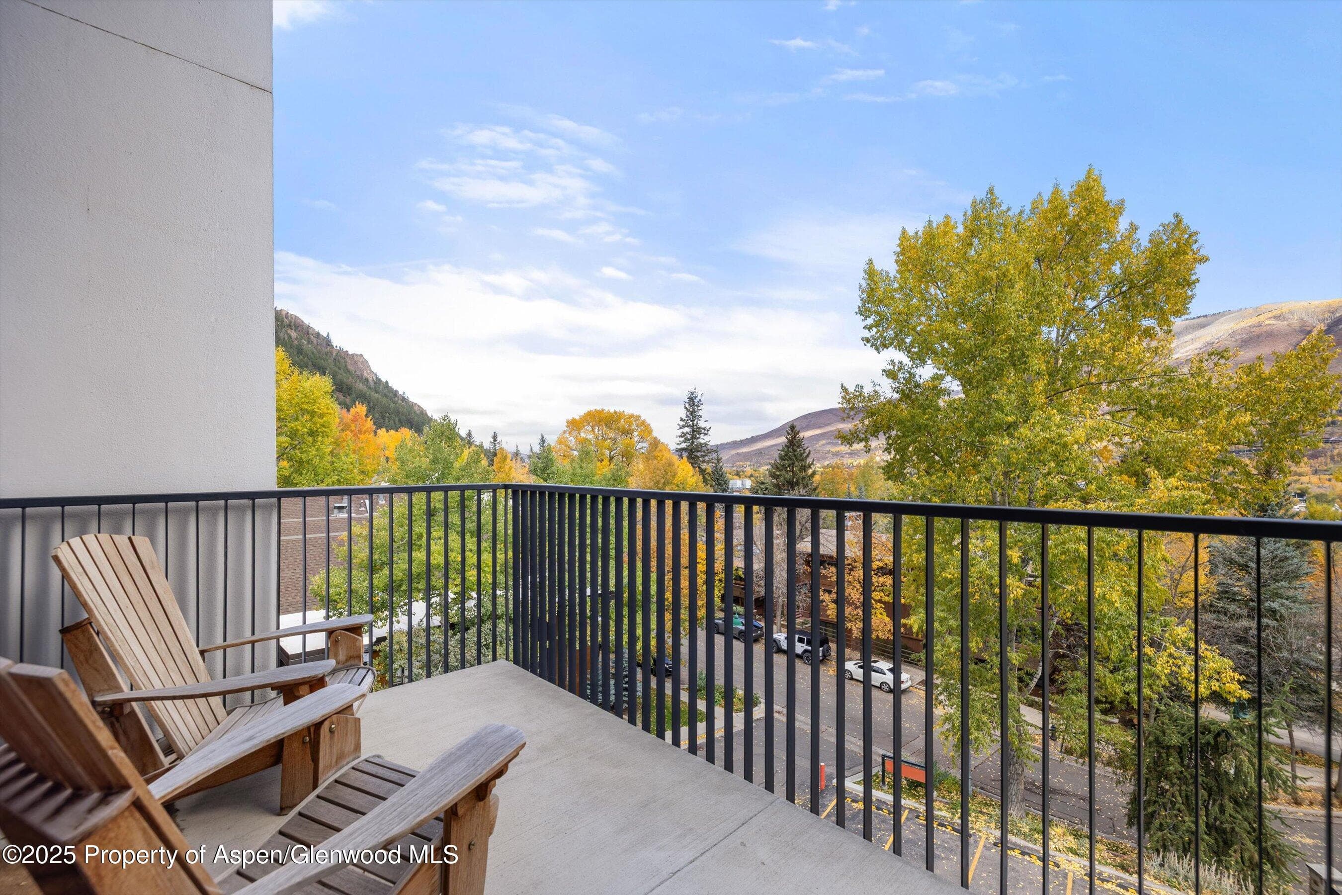 800 S Mill Street 303C, Aspen, CO 81611 - Photo 18