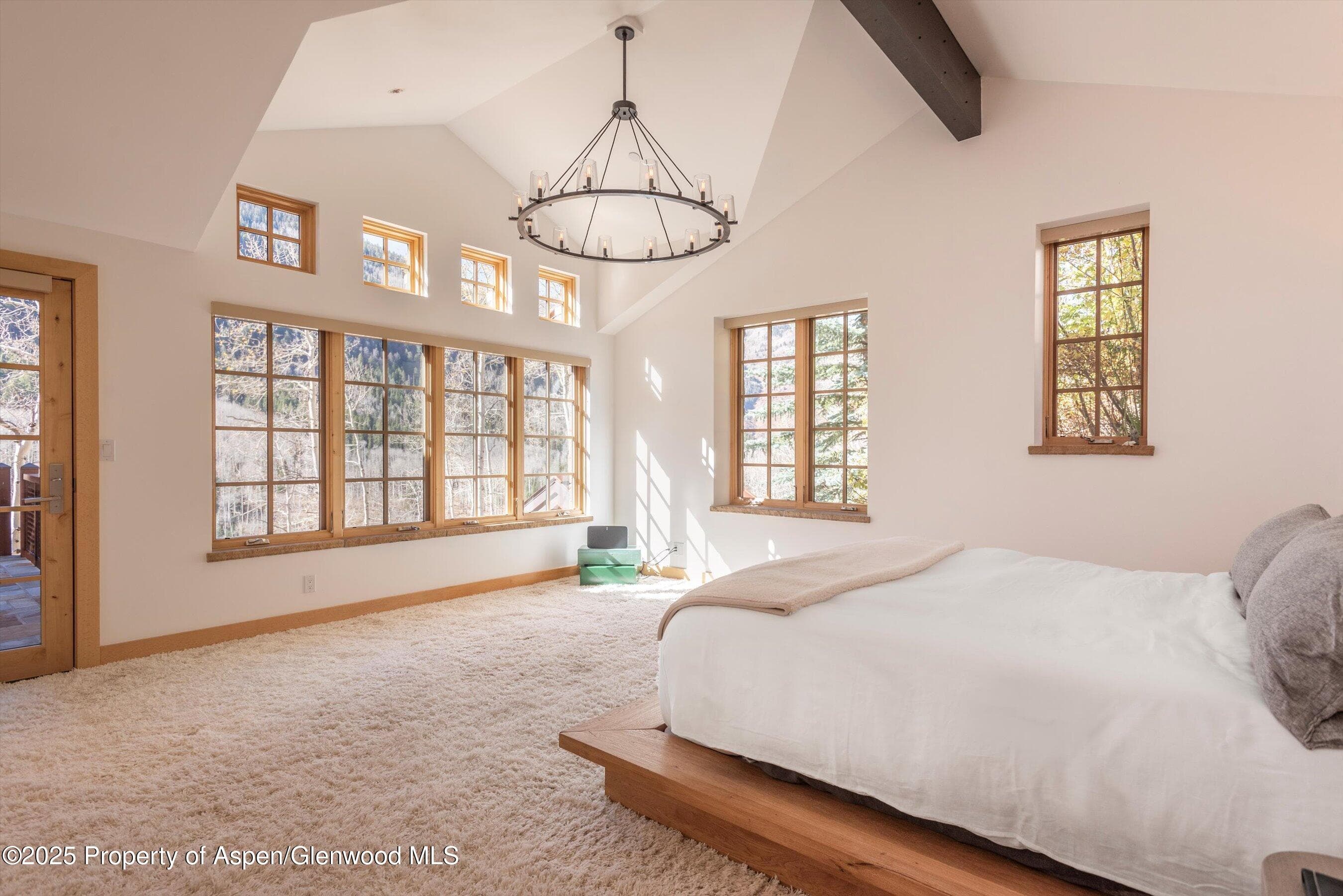 6770 Castle Creek Road, Aspen, CO 81611 - Photo 18