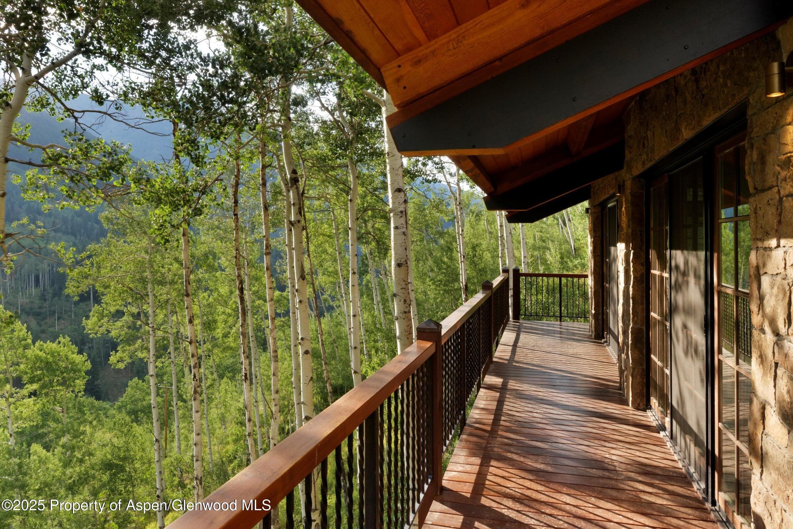 6770 Castle Creek Road, Aspen, CO 81611 - Photo 40