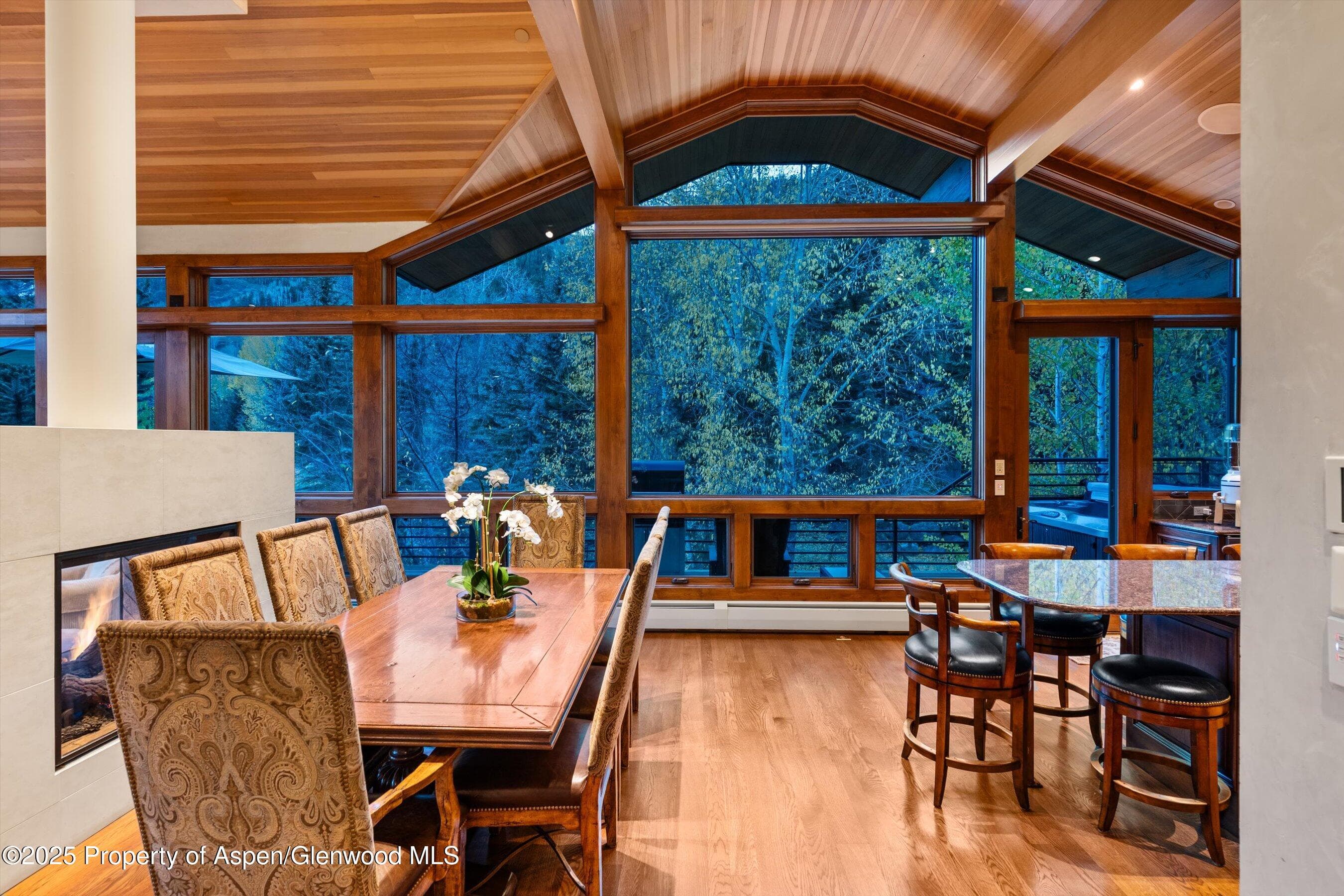 315 S First Street, Aspen, CO 81611 - Photo 5