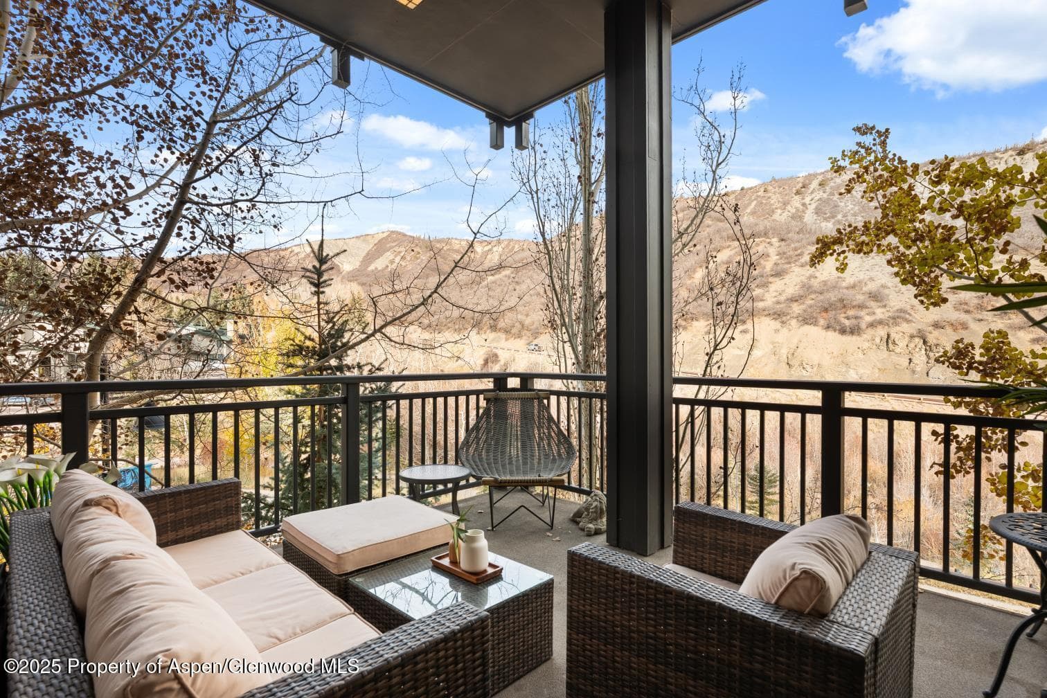 60 carriage 3029, Snowmass Village, CO 81615 - Photo 15