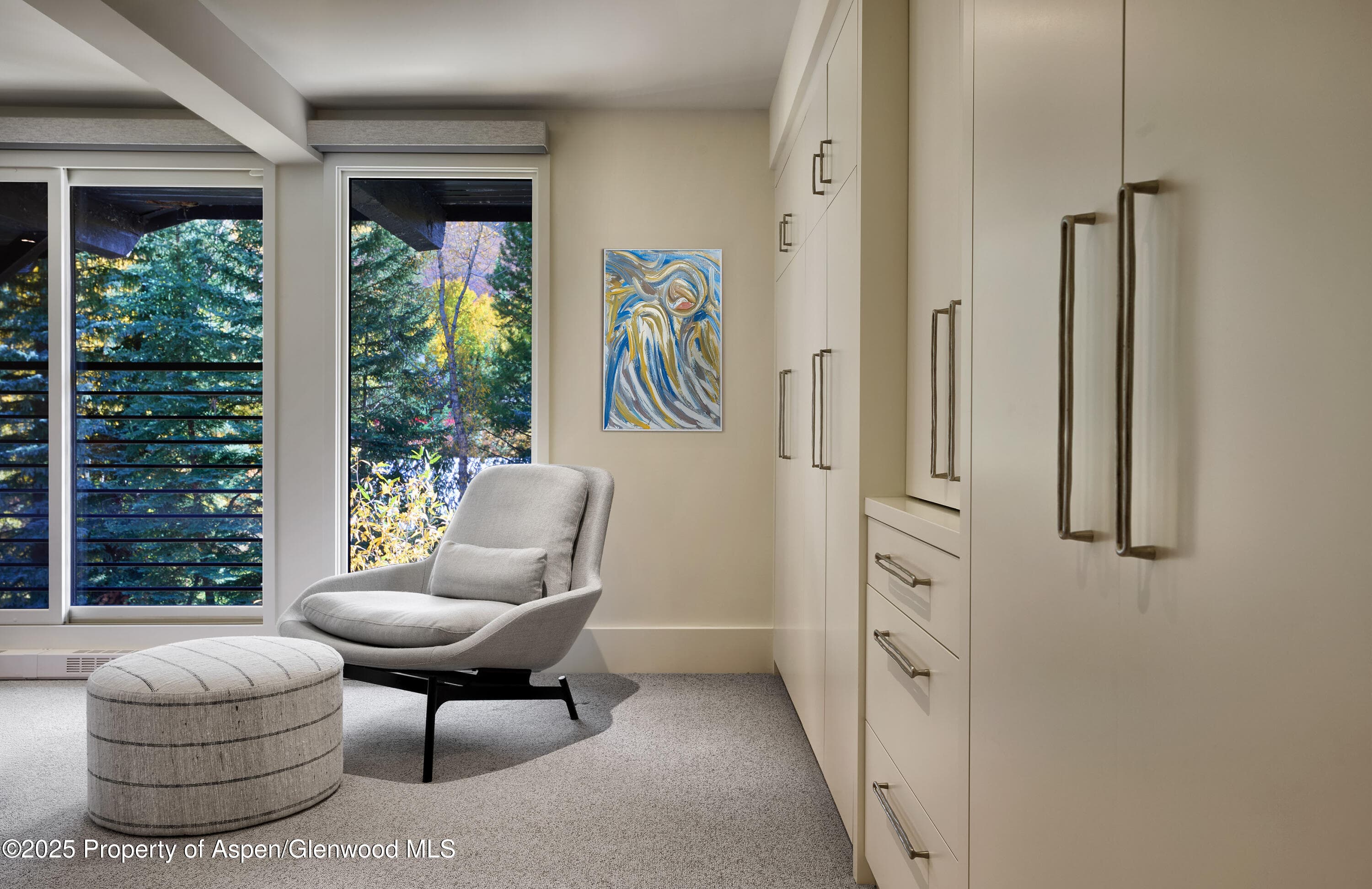 1039 E Cooper Avenue 14A, Aspen, CO 81611 - Photo 8