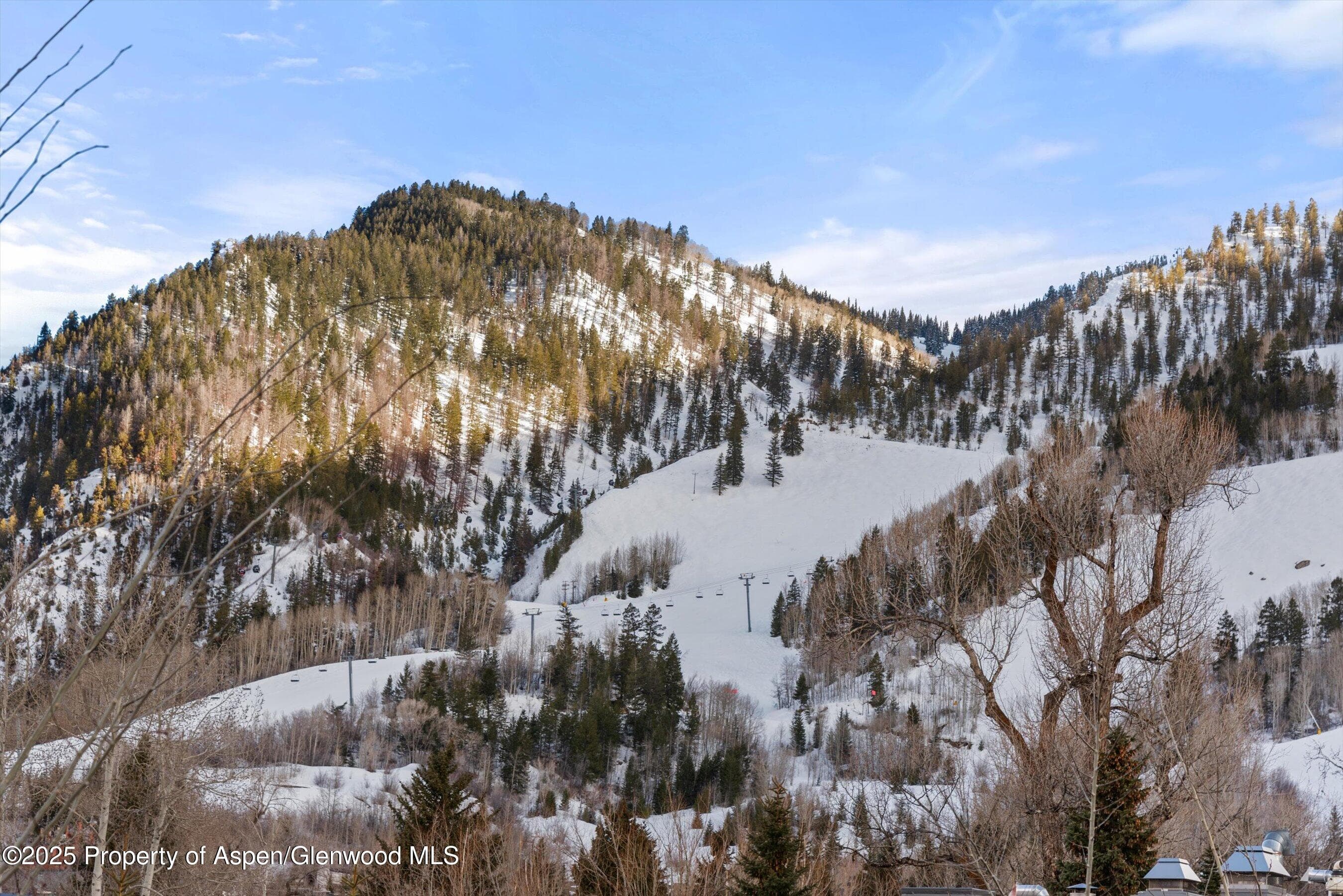 304 S Garmisch Street, Aspen, CO 81611 - Photo 39