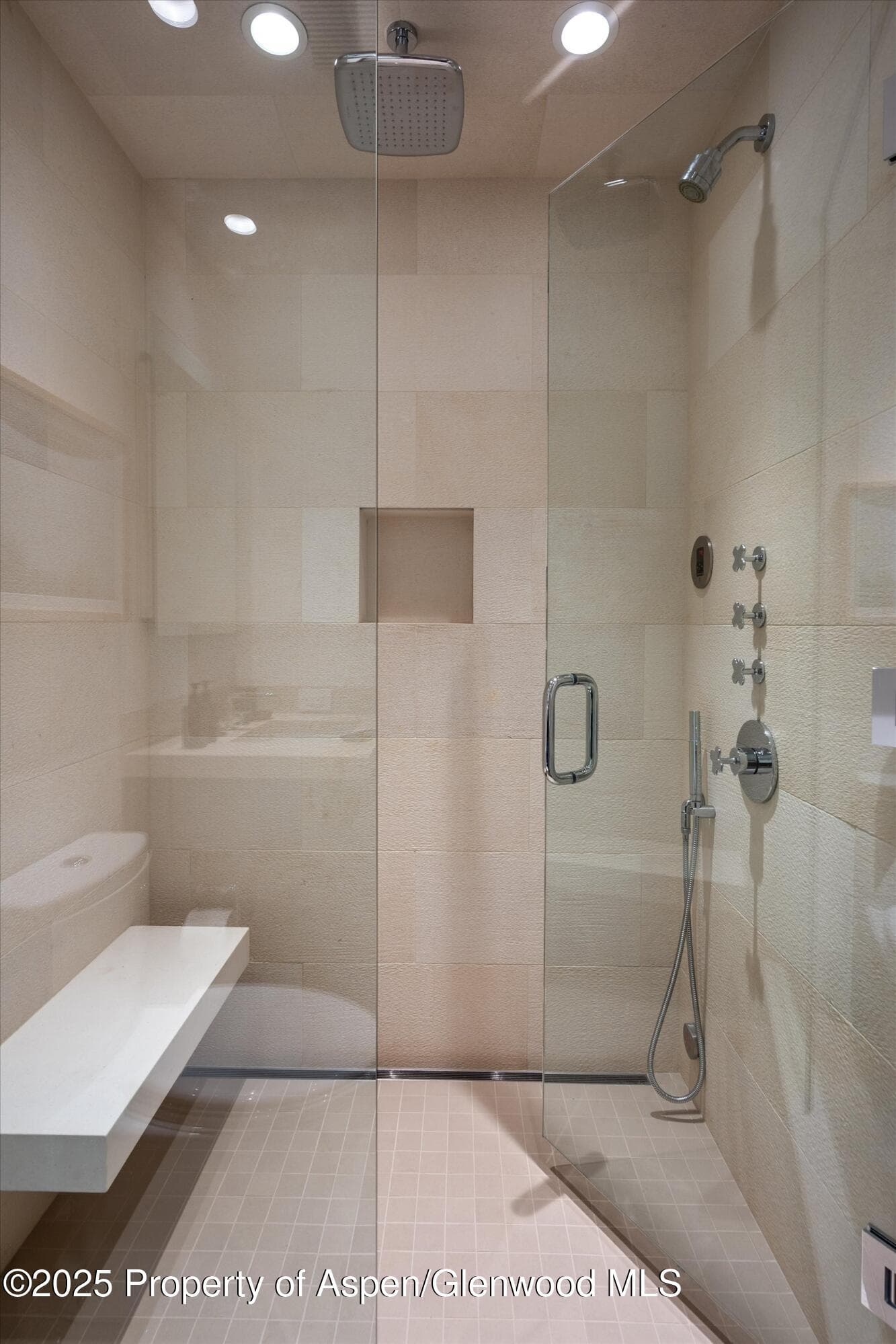 155 Lone Pine Road 12, Aspen, CO 81611 - Photo 28